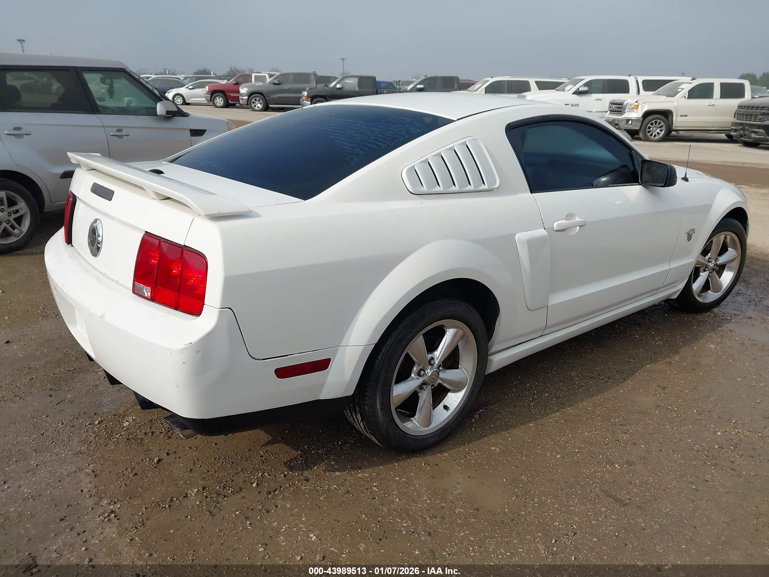 FORD MUSTANG image 4