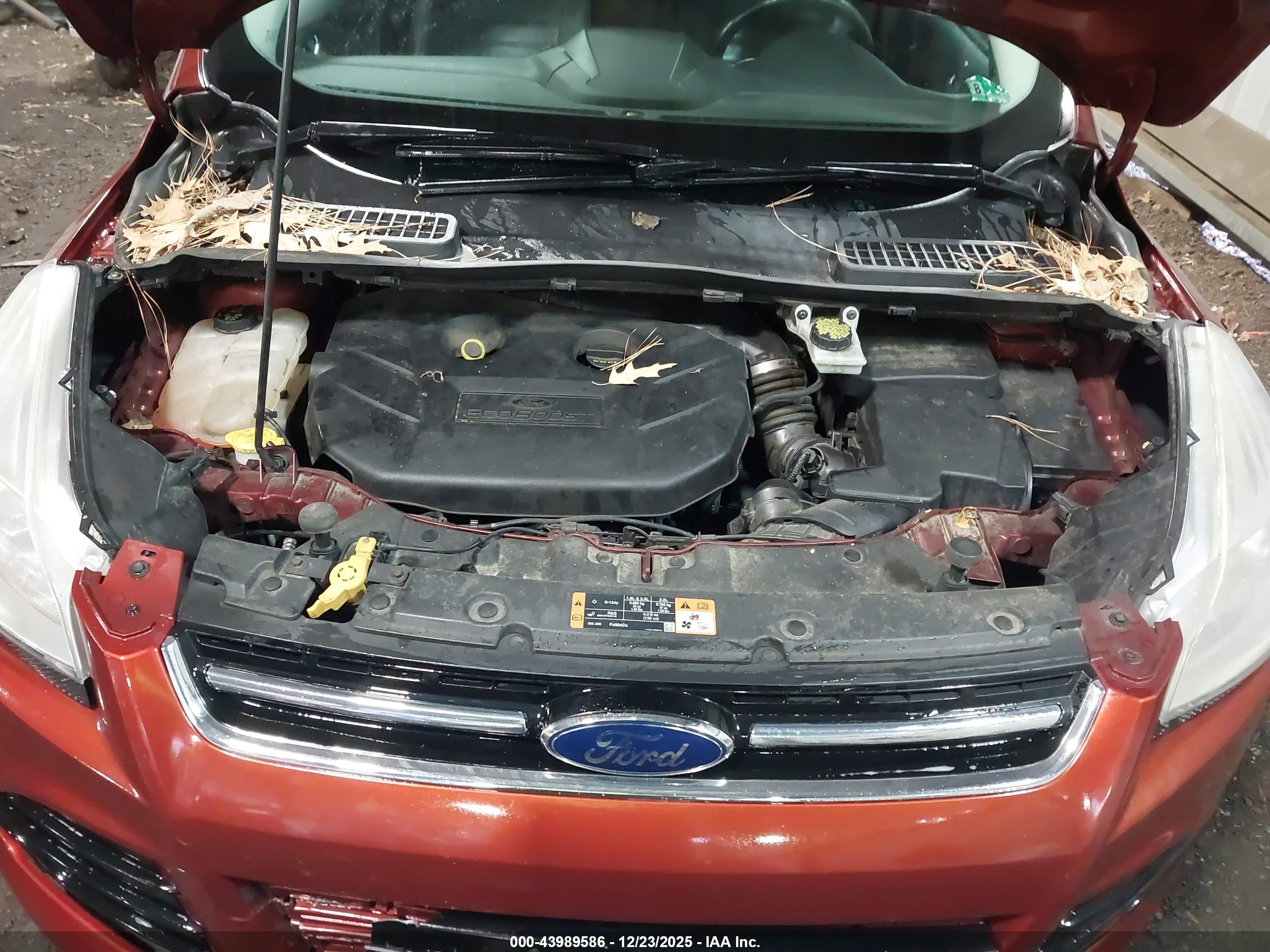 FORD ESCAPE image 10