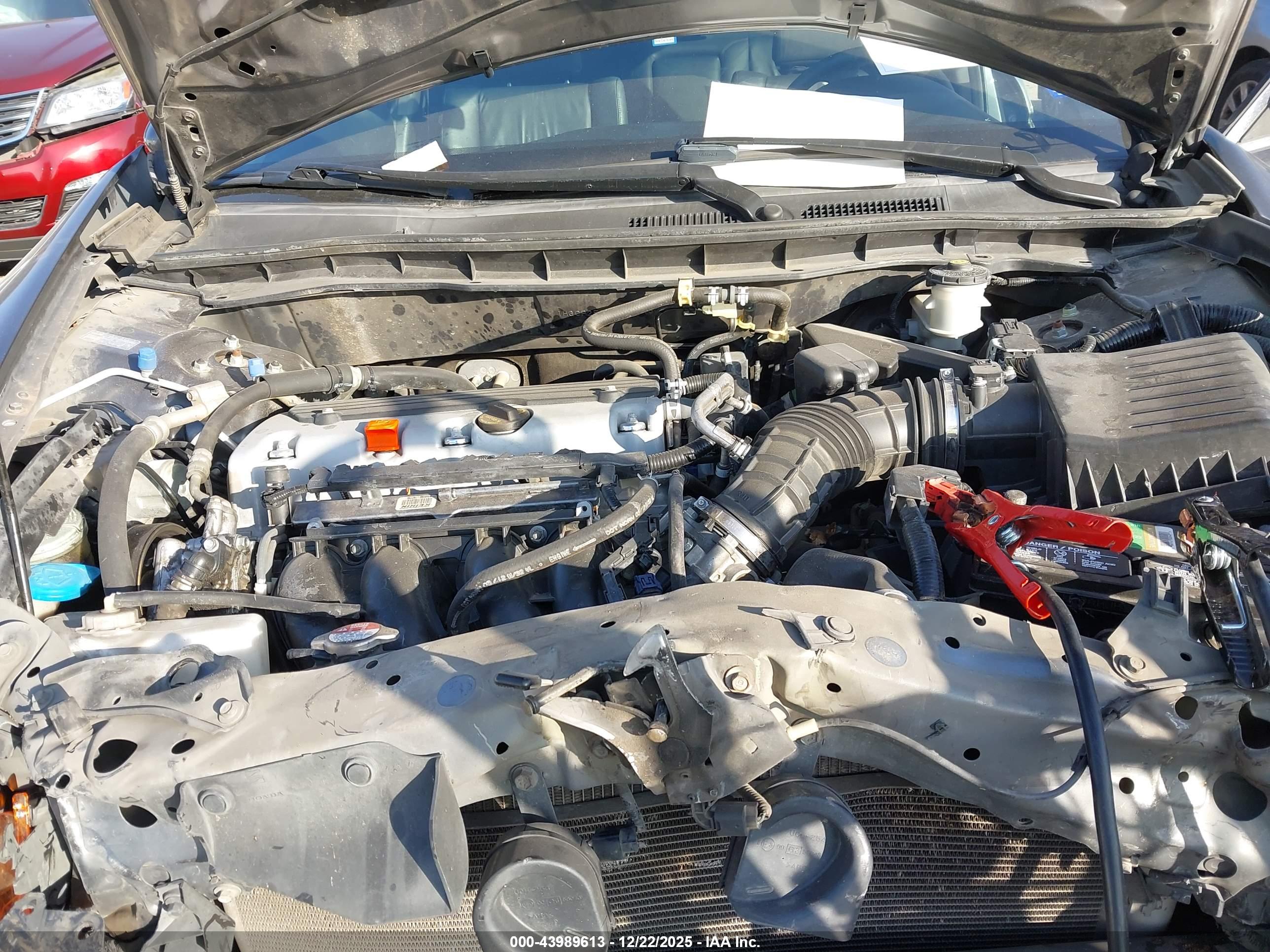 HONDA ACCORD image 10