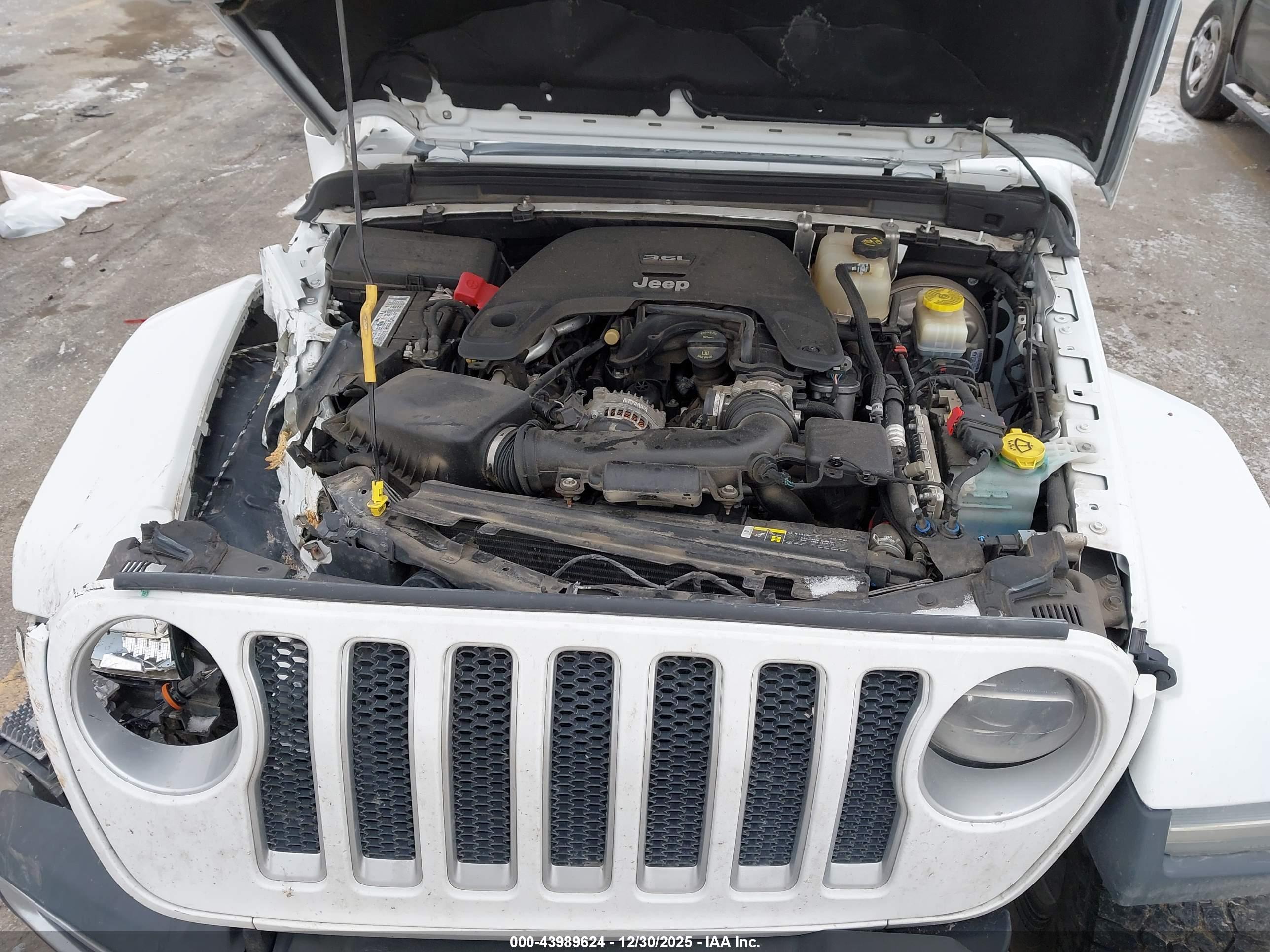 JEEP WRANGLER image 10