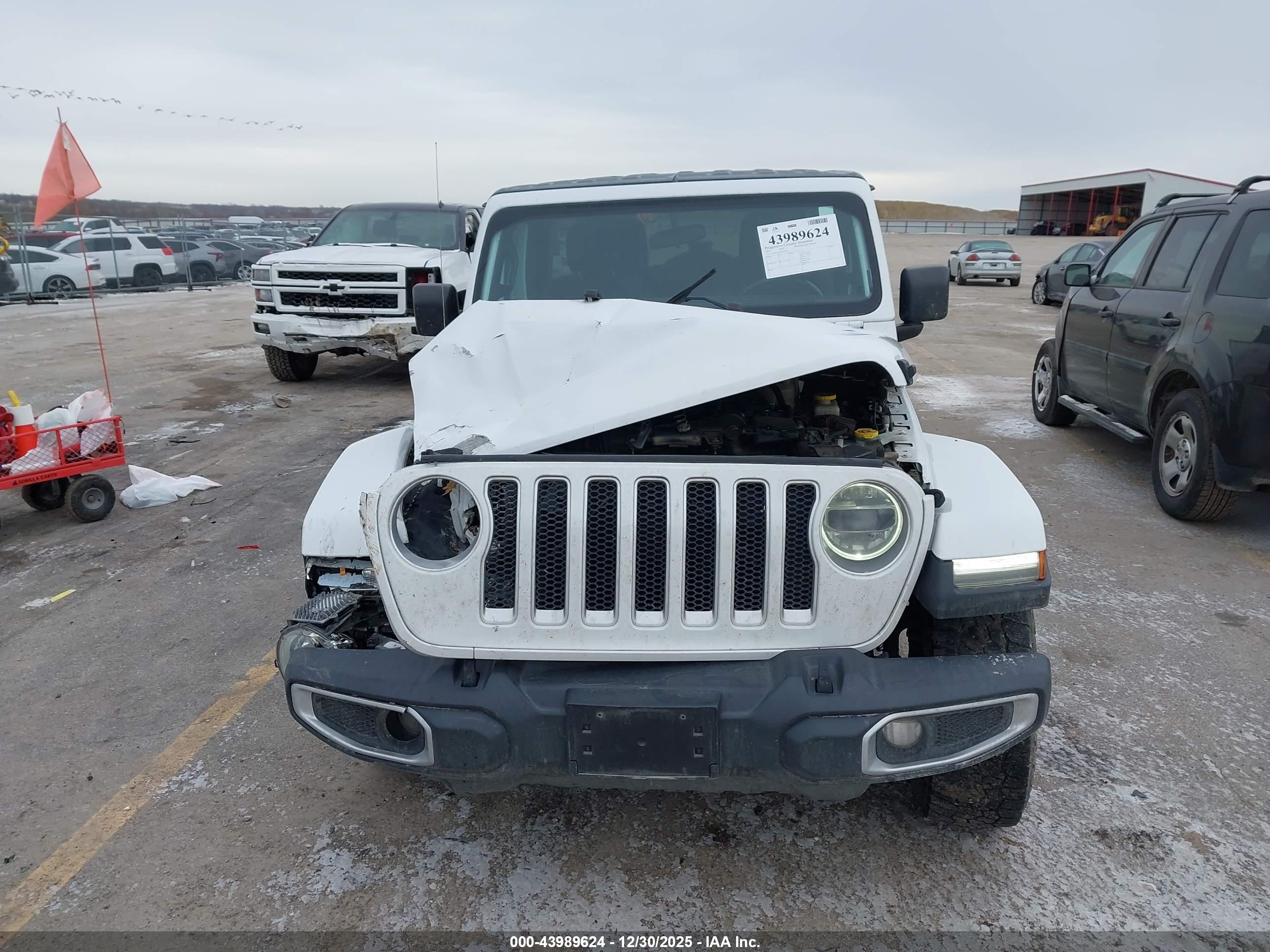 JEEP WRANGLER image 6