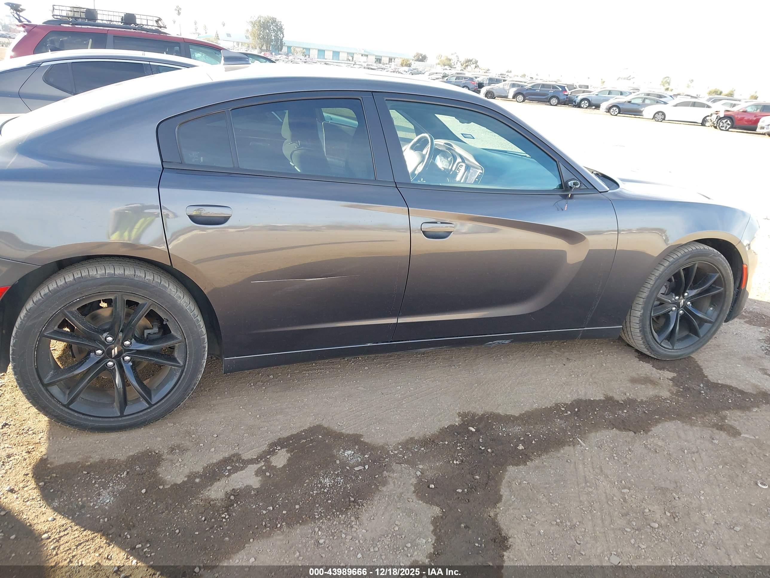 DODGE CHARGER image 6