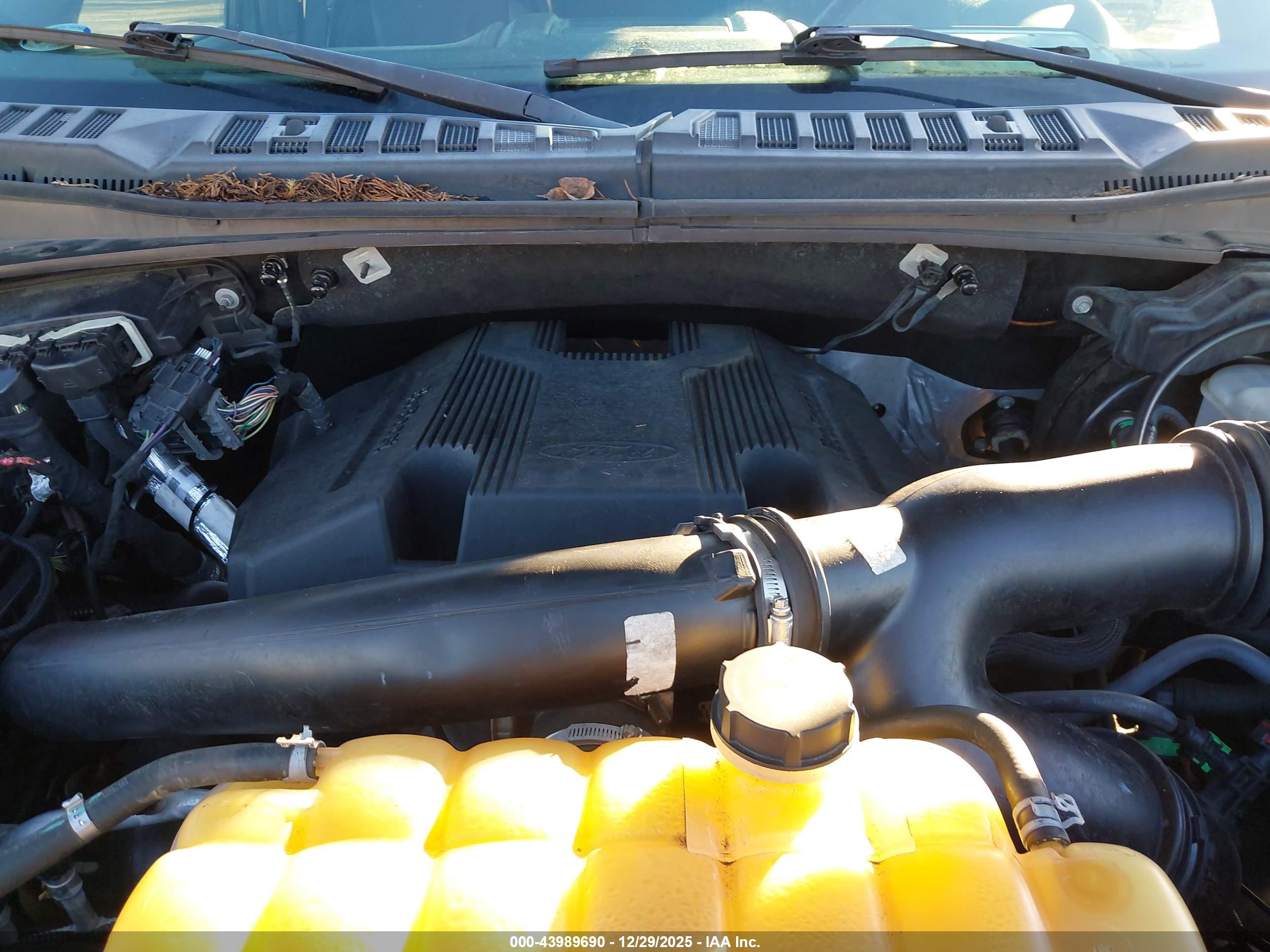 FORD F-150 image 10