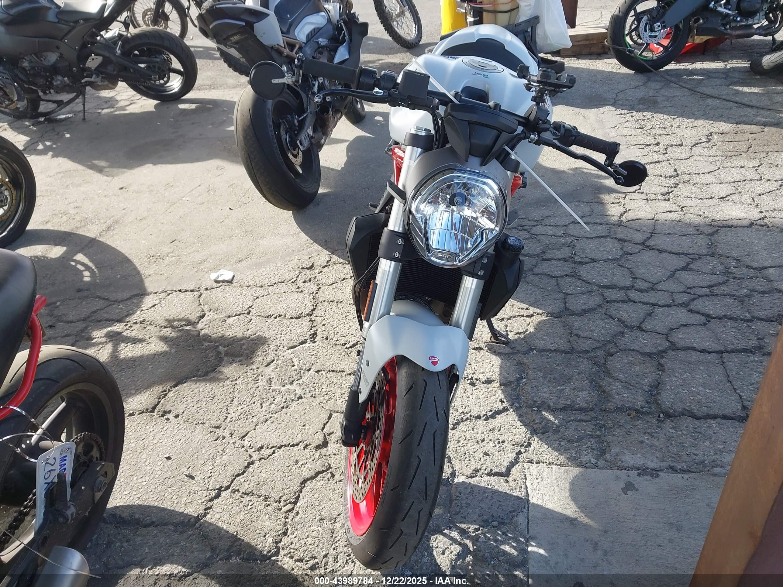 DUCATI MONSTER image 5