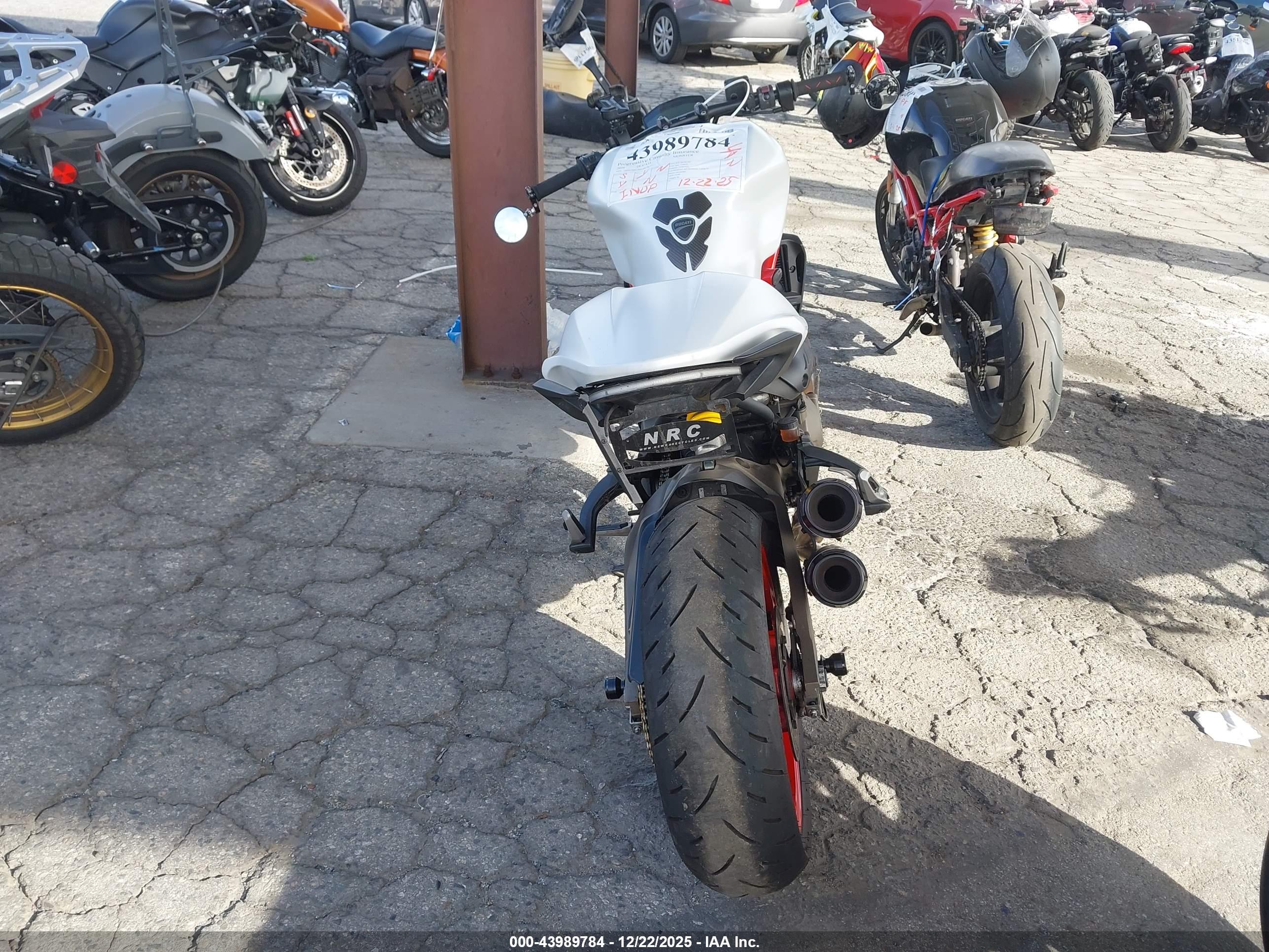 DUCATI MONSTER image 6