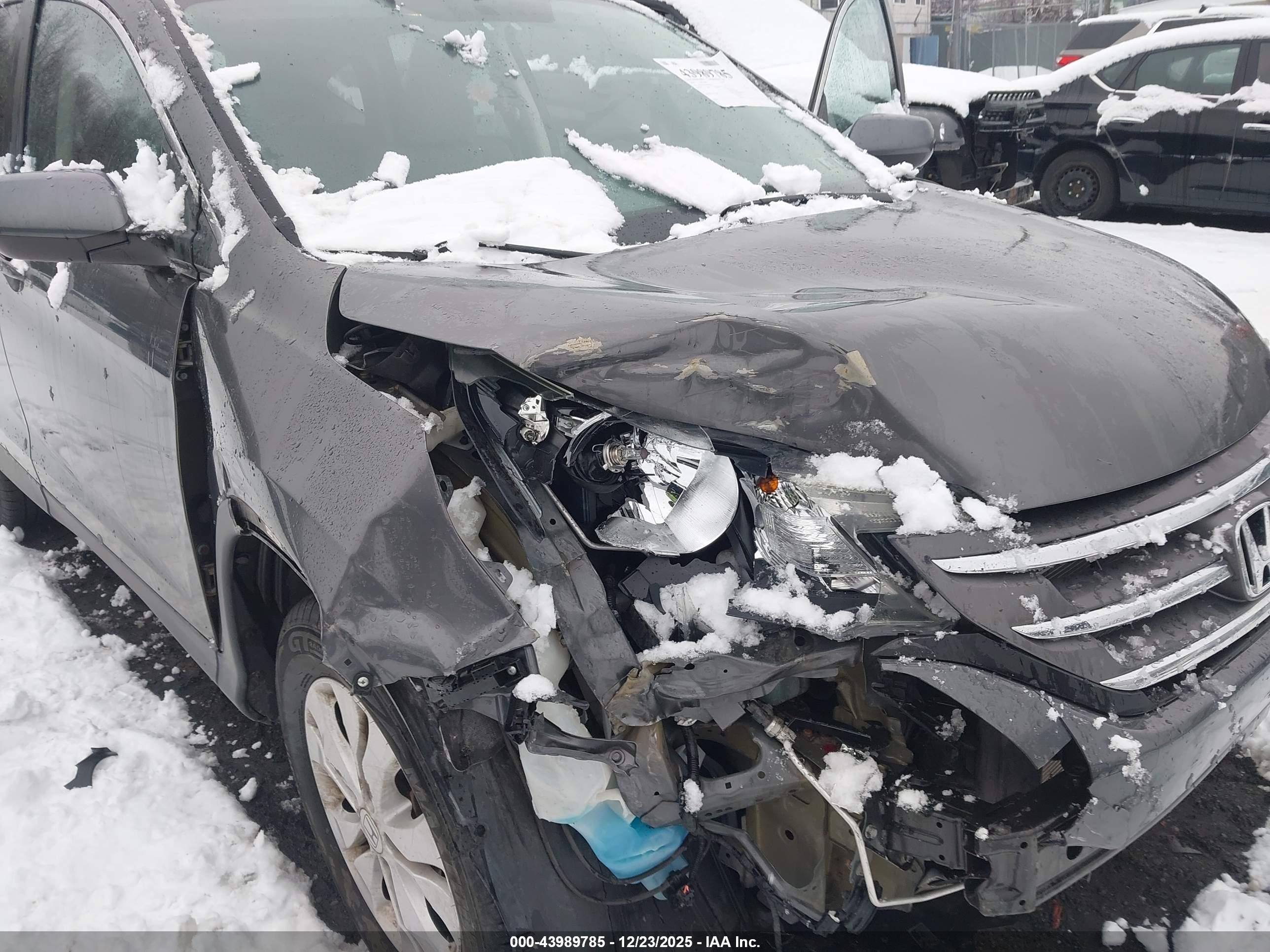 HONDA CR-V image 6