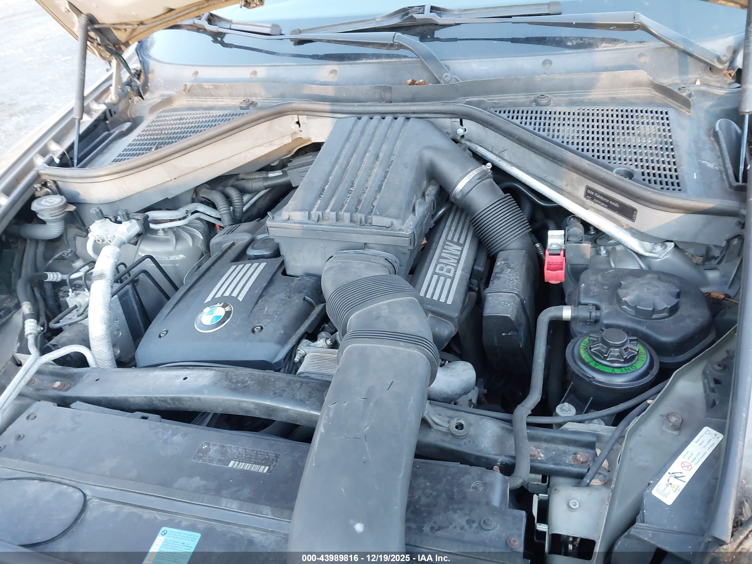 BMW X5 image 10