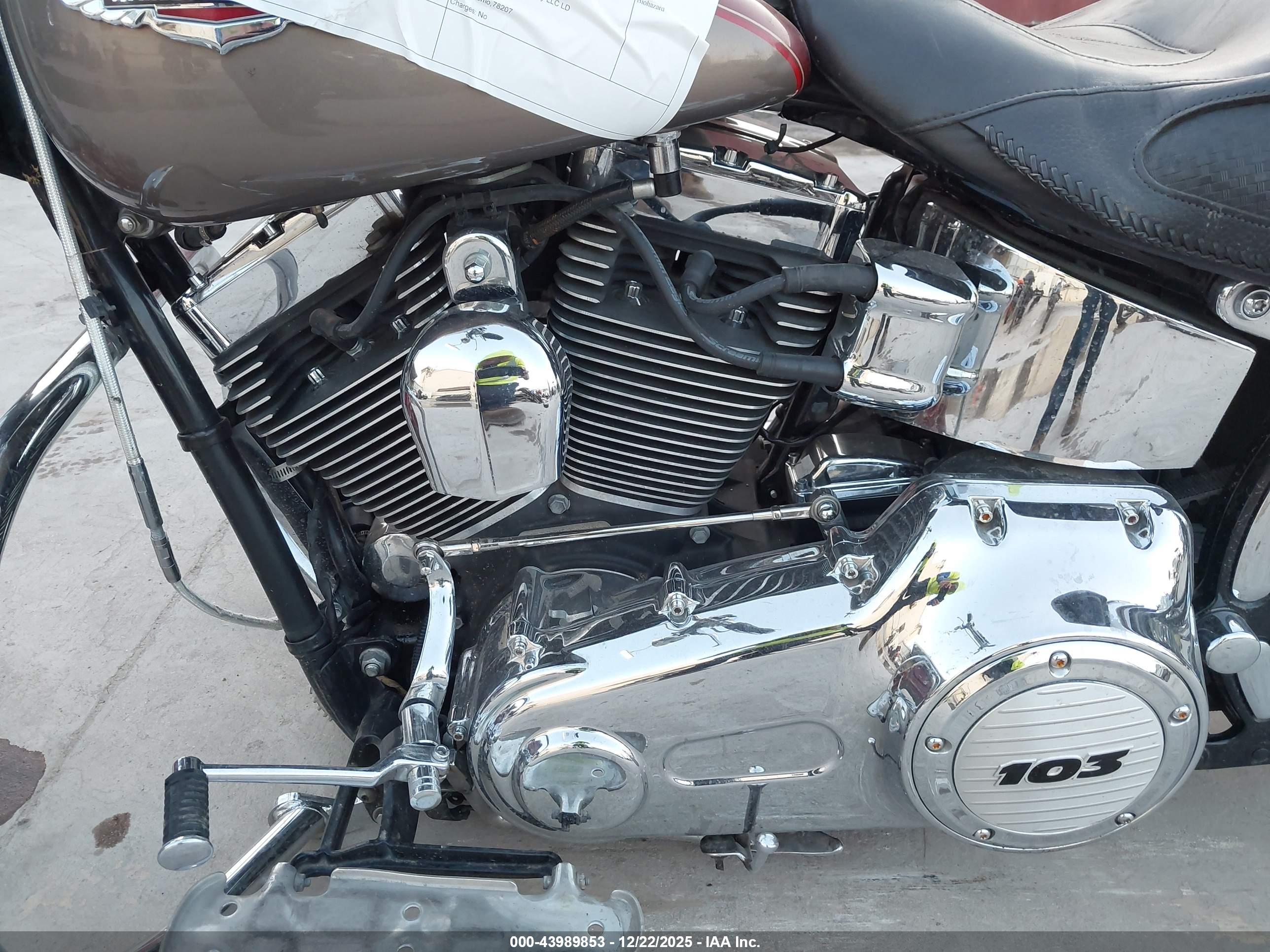 HARLEY-DAVIDSON FLSTN image 9