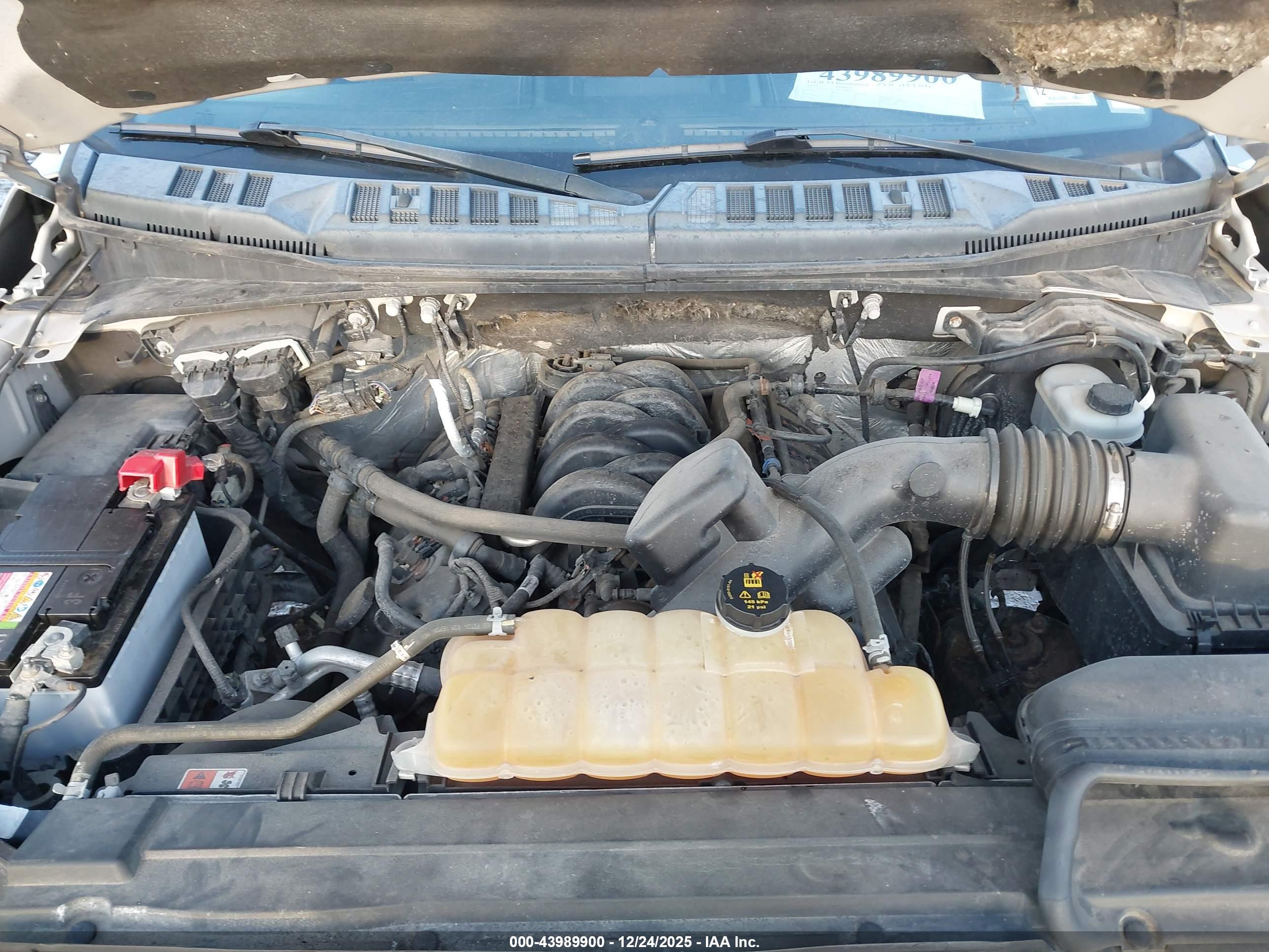 FORD F-150 image 10