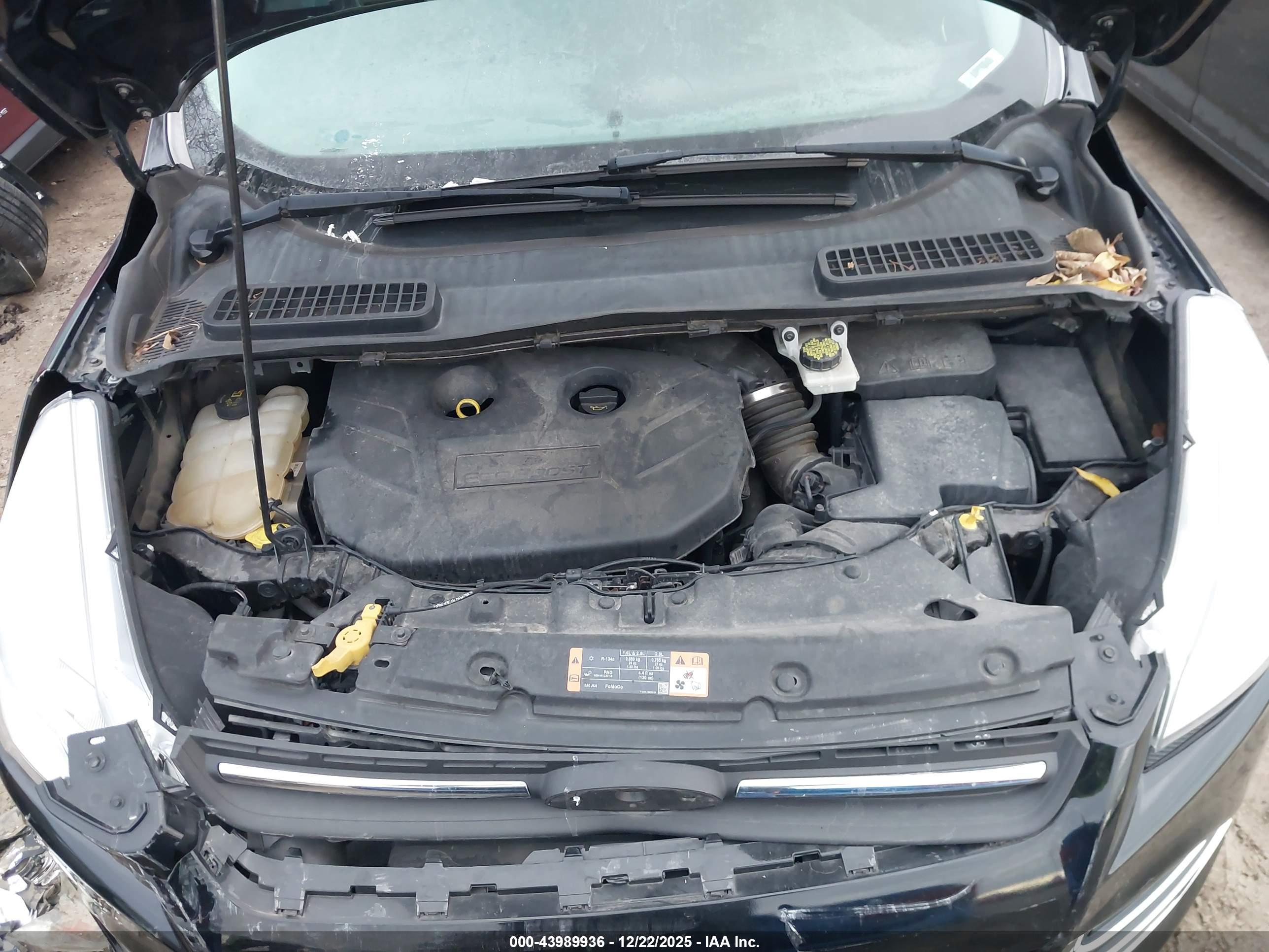 FORD ESCAPE image 10