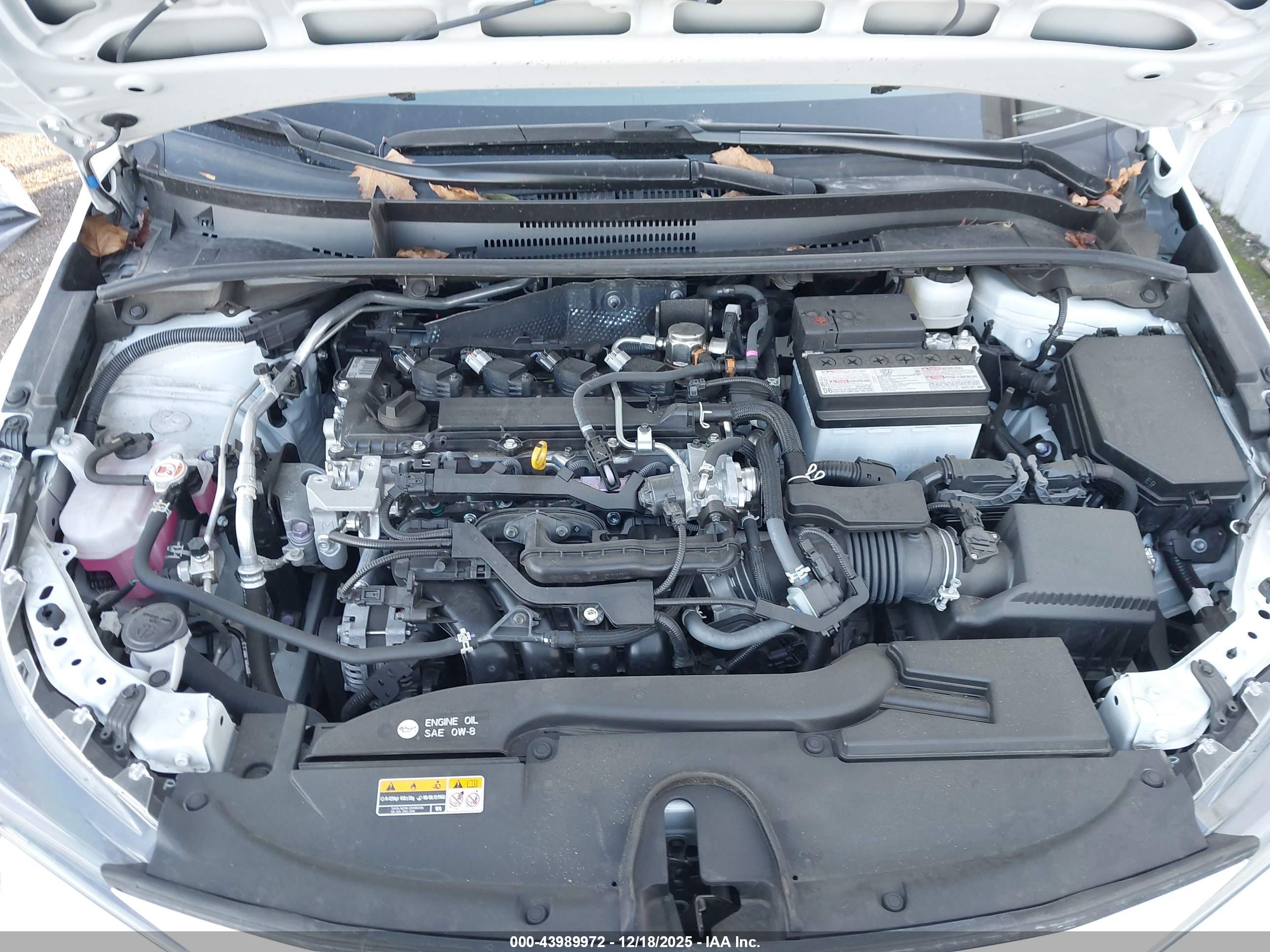 TOYOTA COROLLA image 10