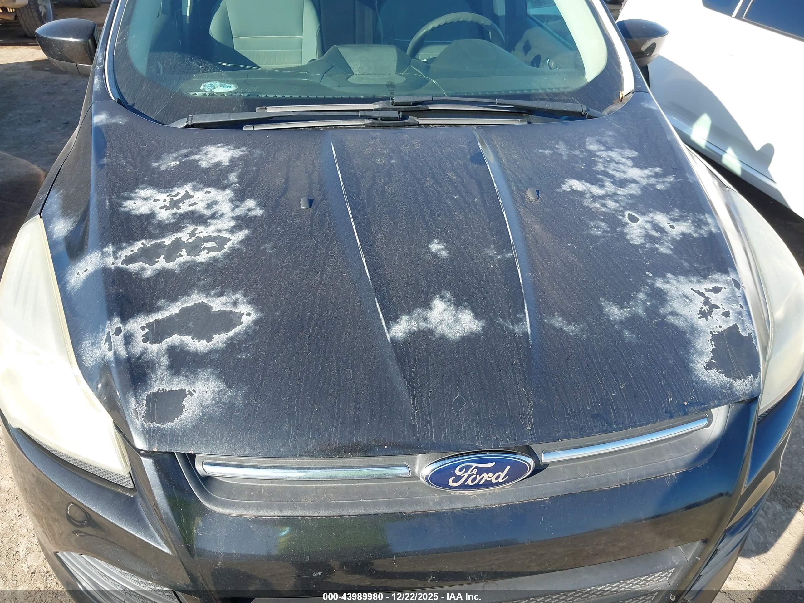 FORD ESCAPE image 6