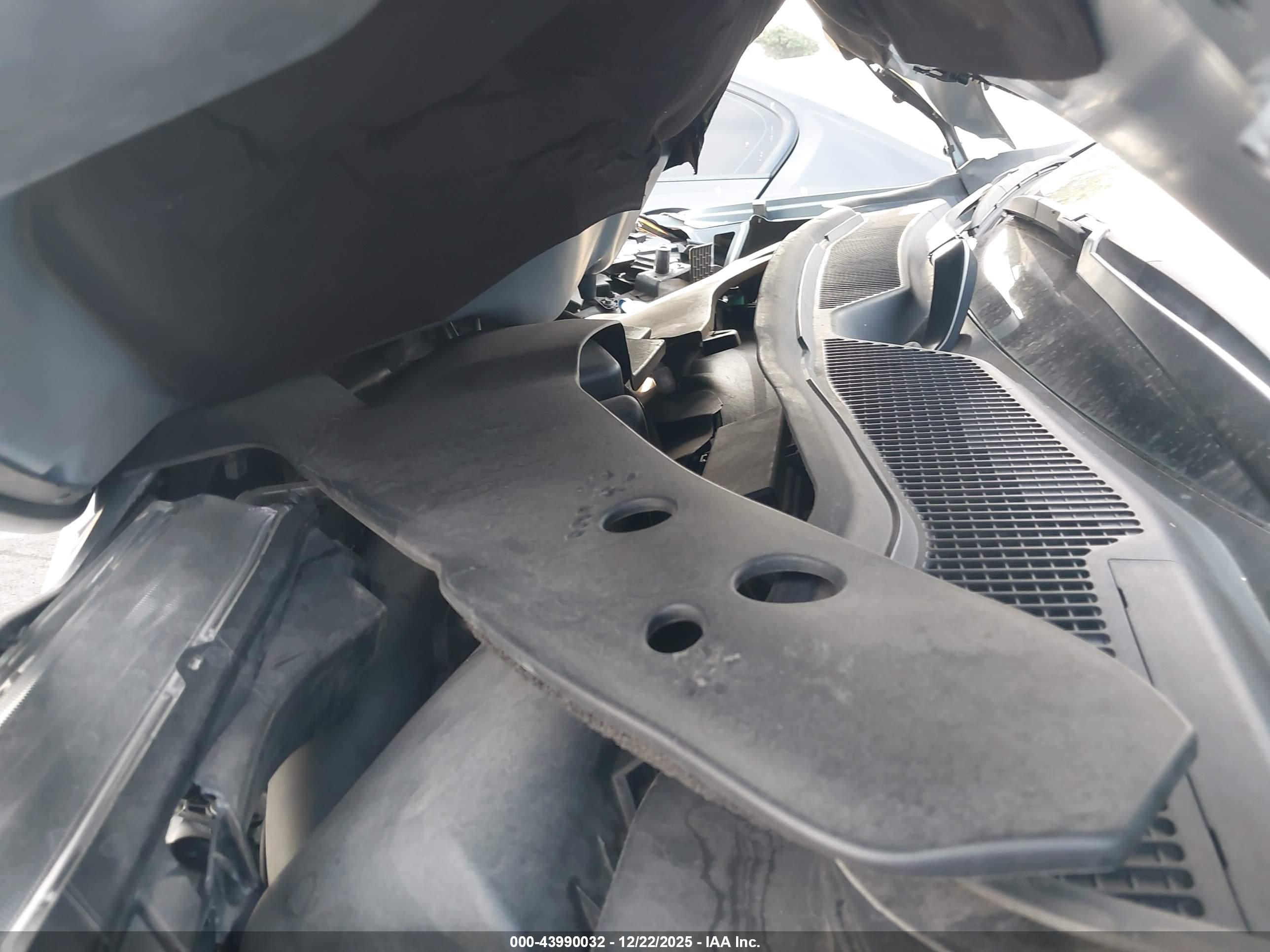 HONDA PASSPORT image 10