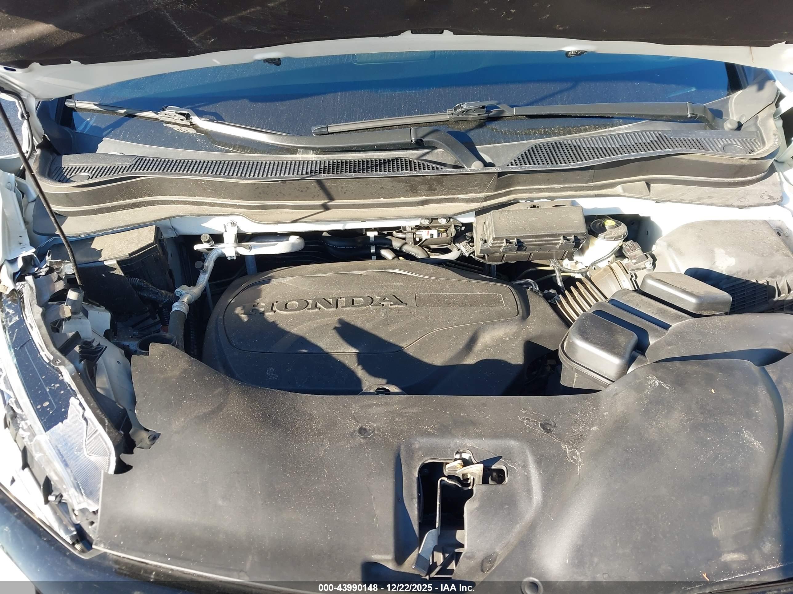 HONDA PASSPORT image 10