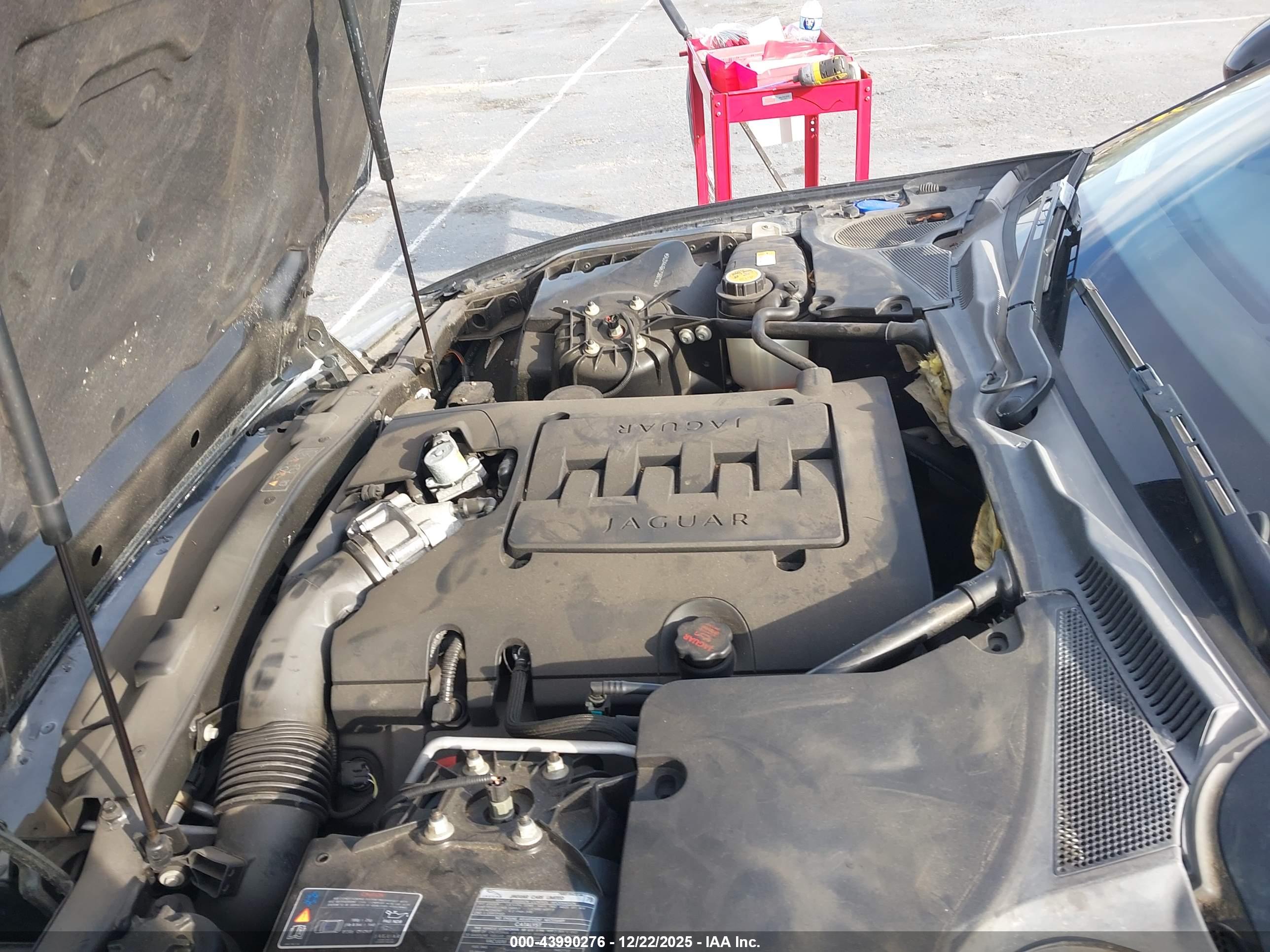 JAGUAR XK image 10