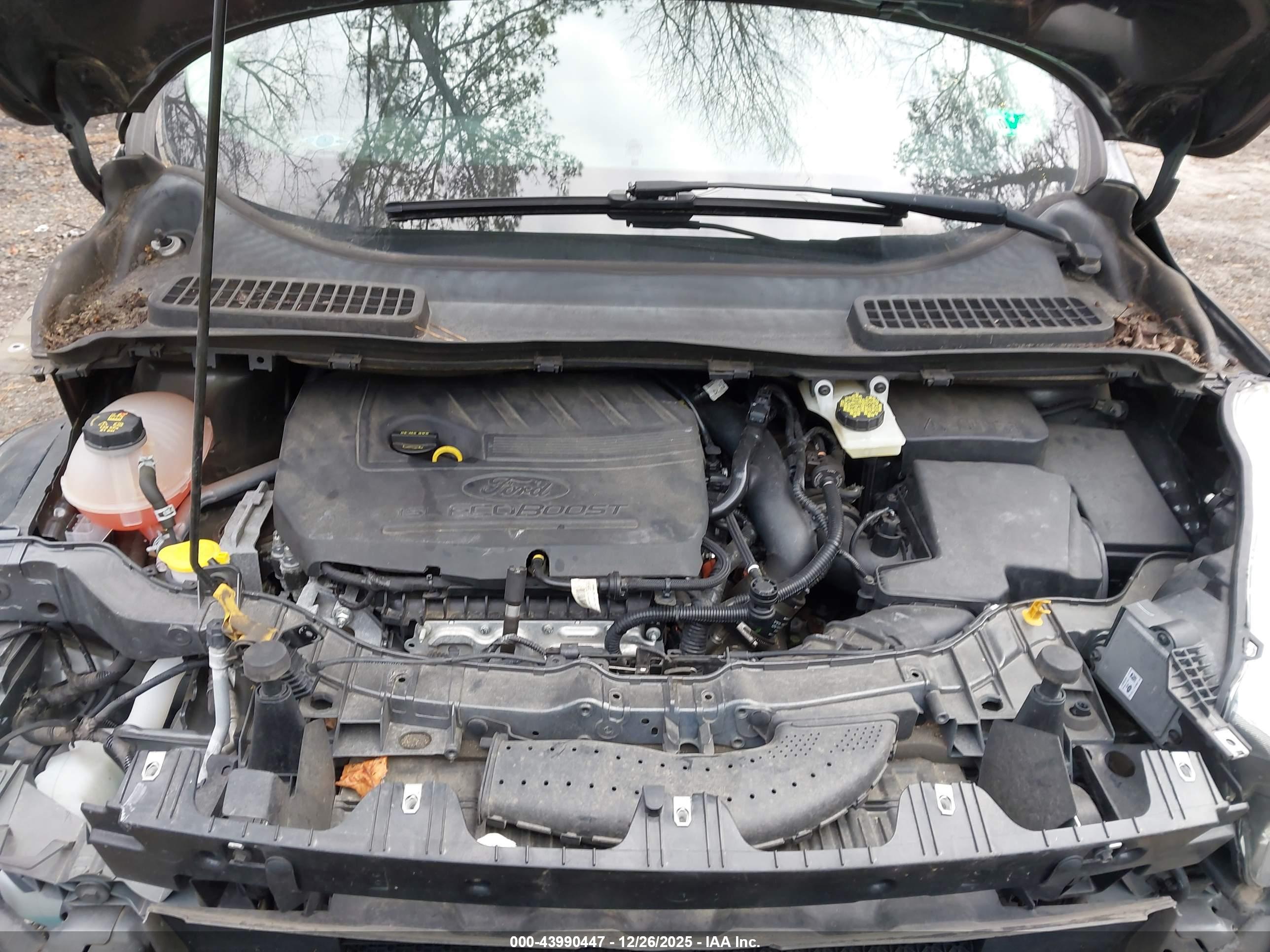 FORD ESCAPE image 10