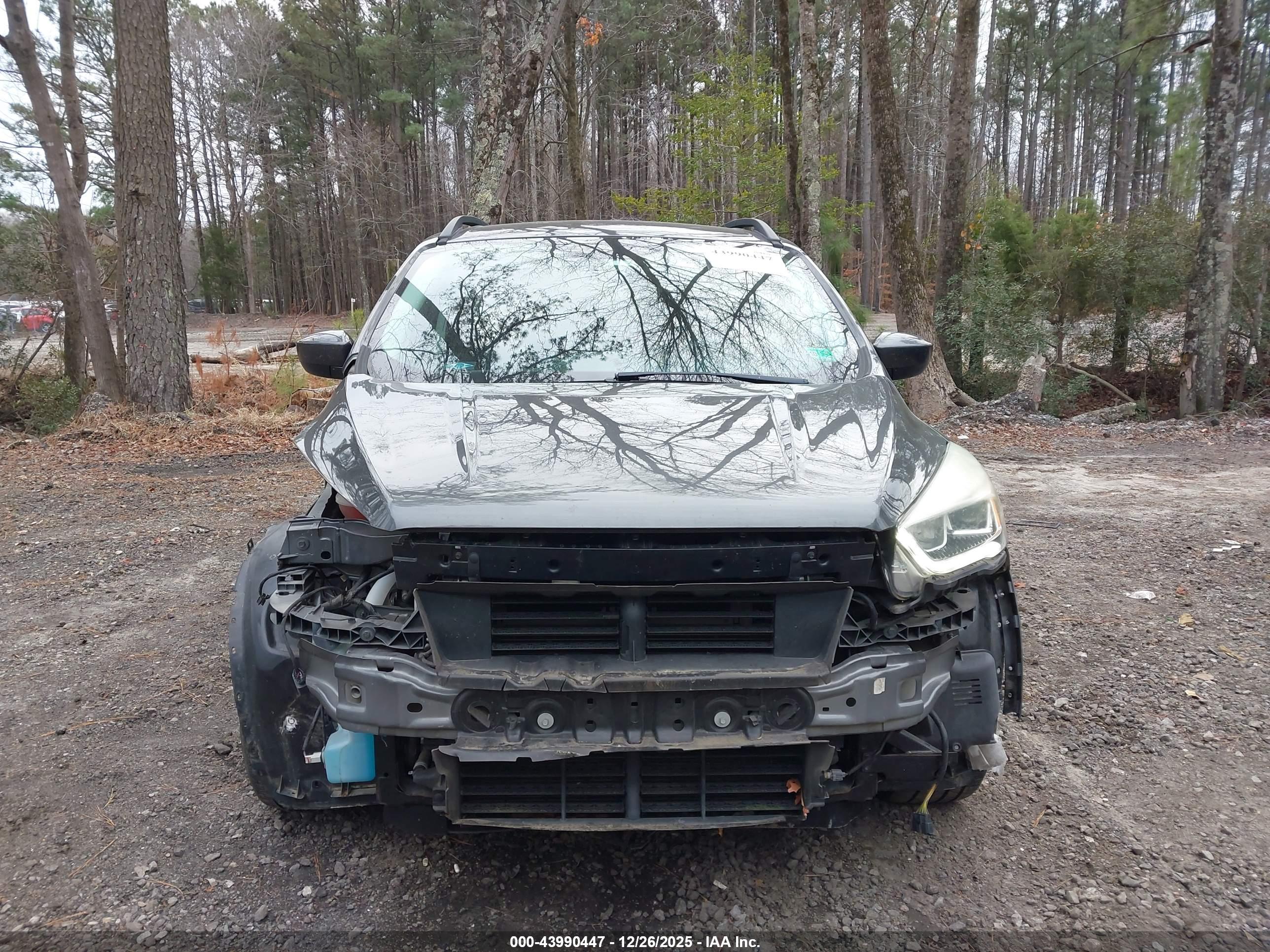 FORD ESCAPE image 6