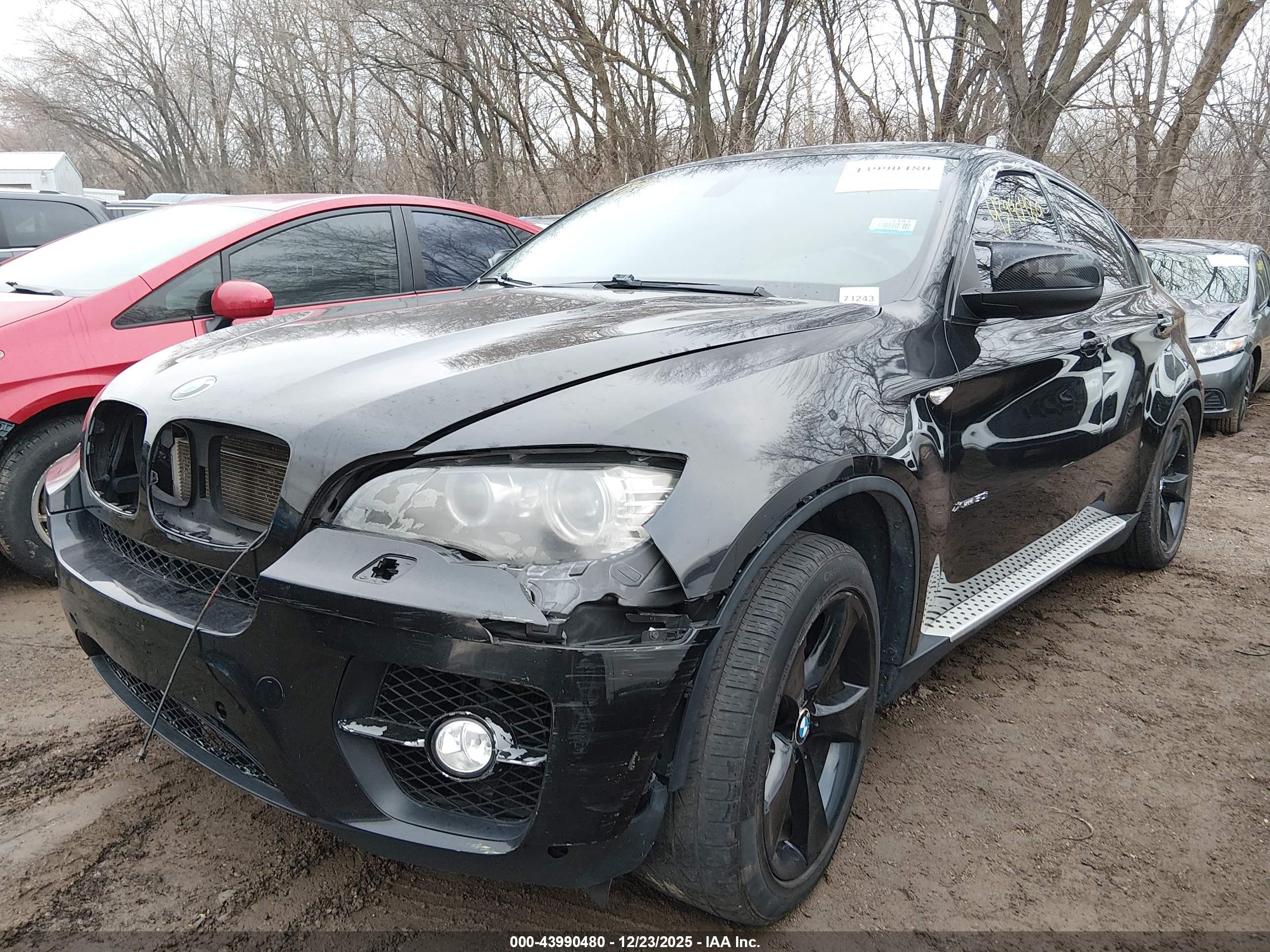 BMW X6 image 2