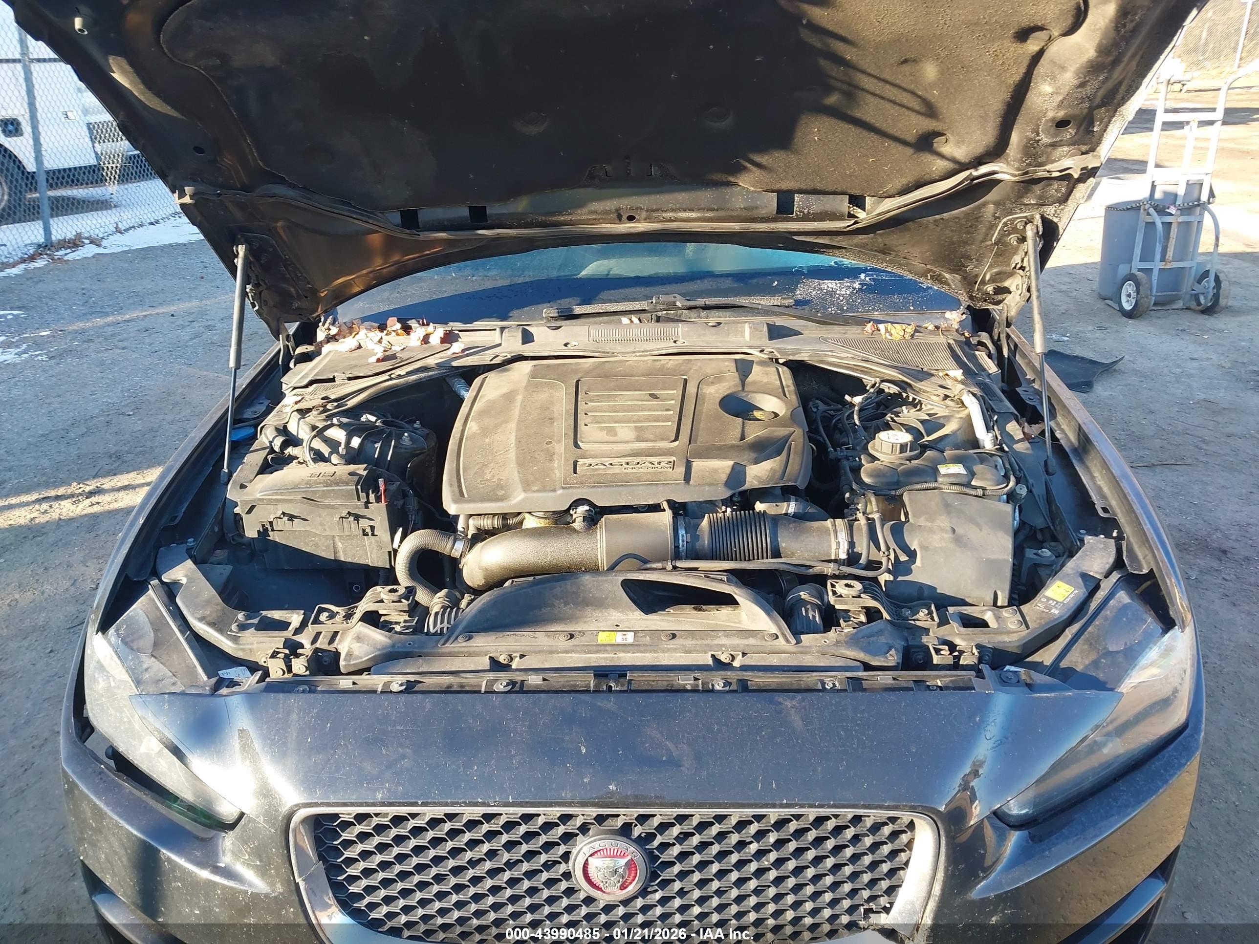 JAGUAR XE image 10