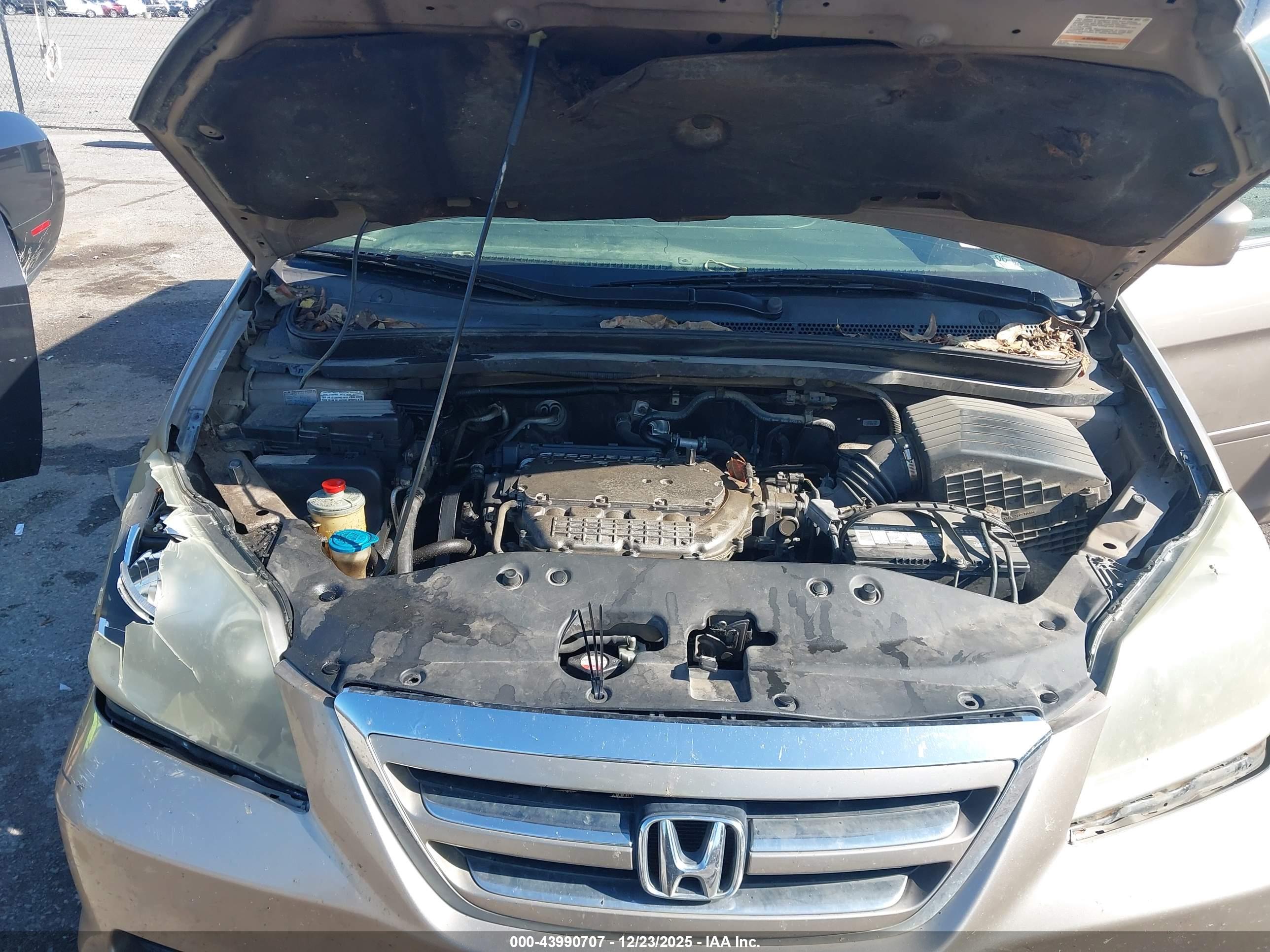 HONDA ODYSSEY image 10