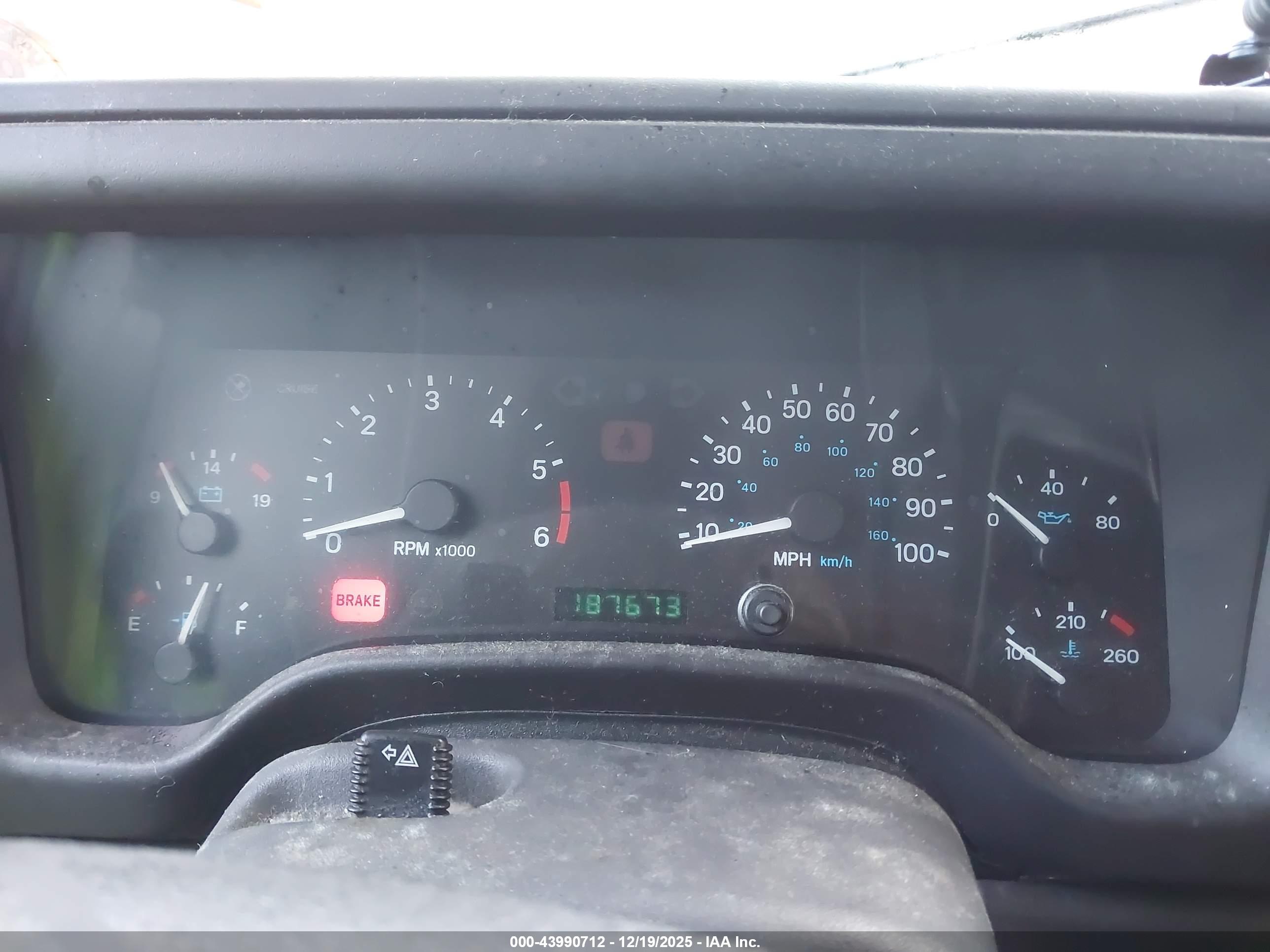 JEEP WRANGLER image 7