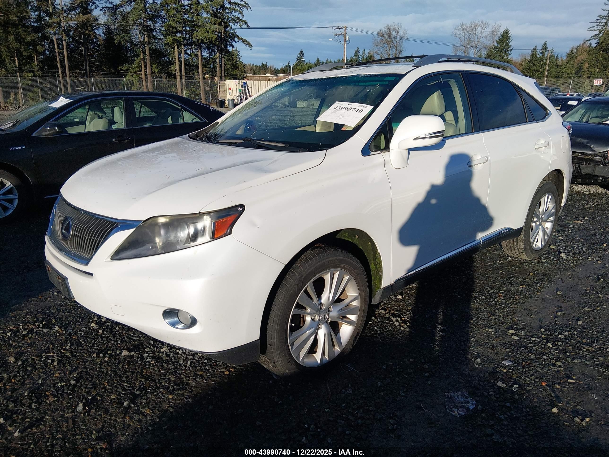 LEXUS RX image 2