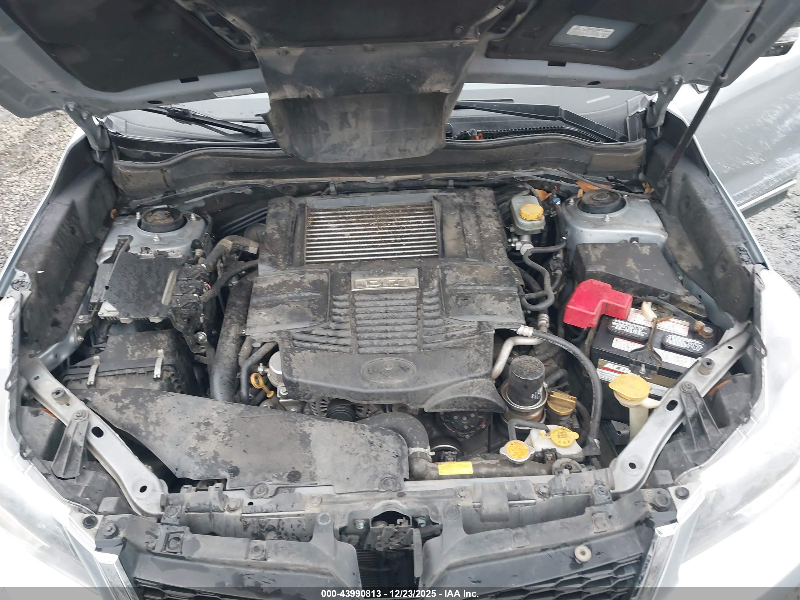 SUBARU FORESTER image 10