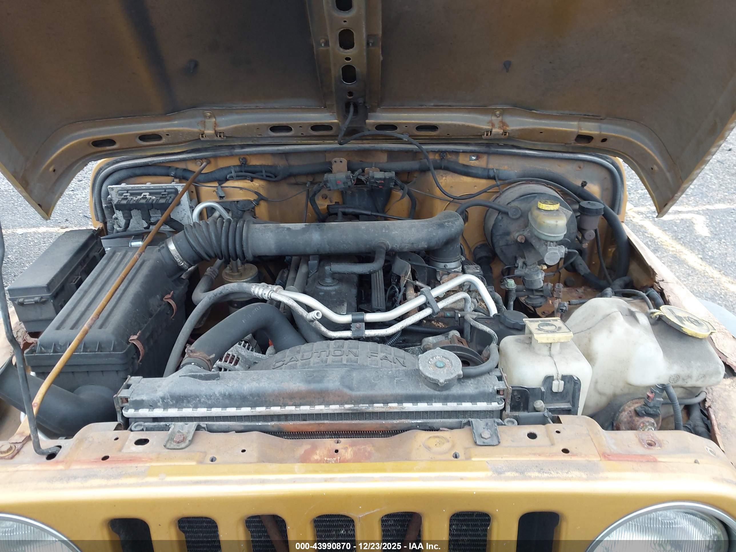 JEEP WRANGLER image 10