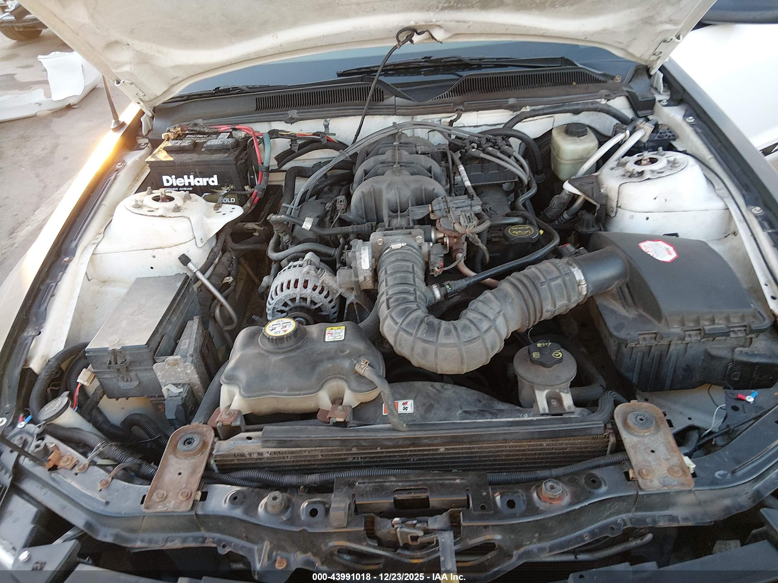 FORD MUSTANG image 10