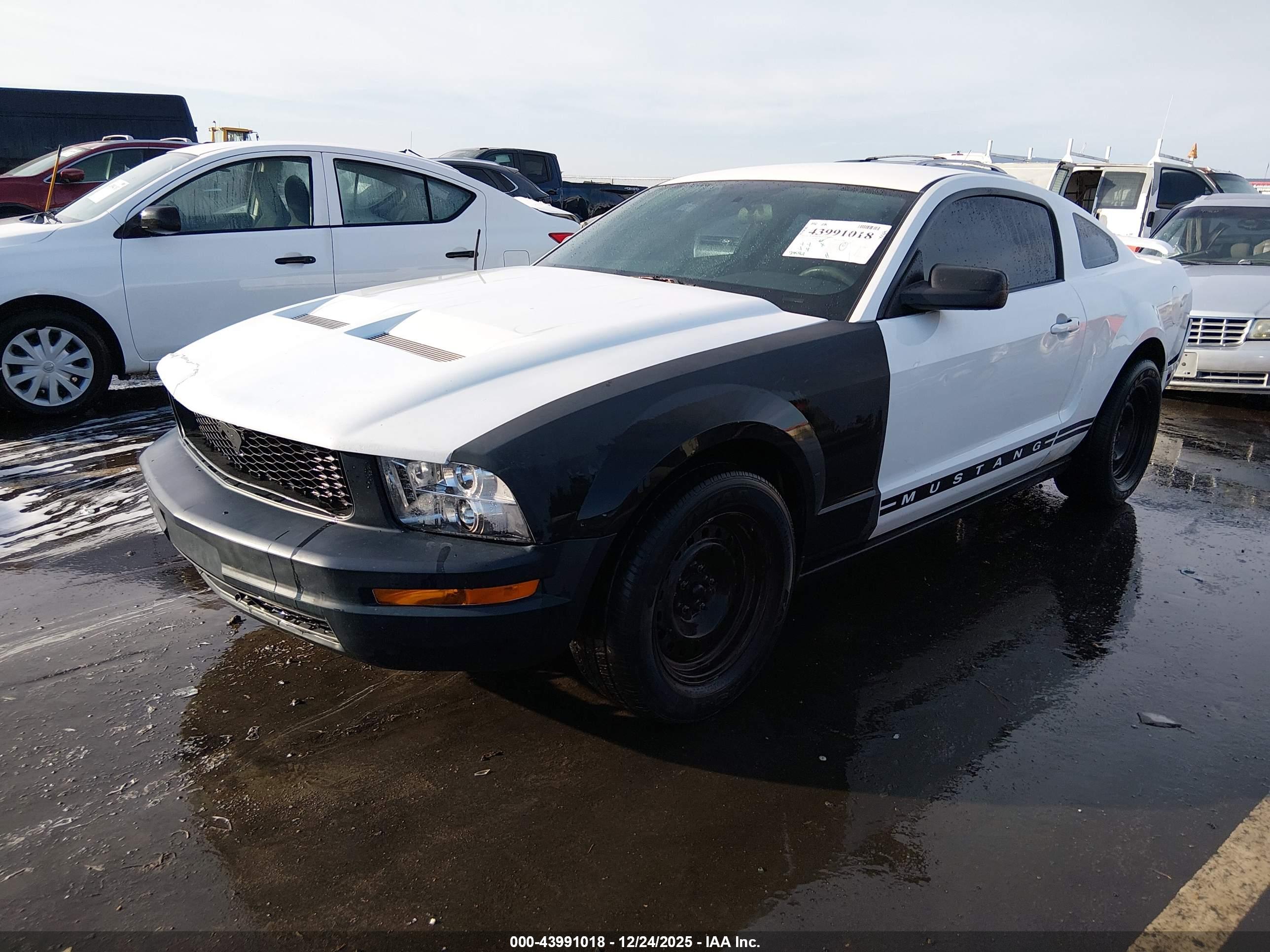 FORD MUSTANG image 2