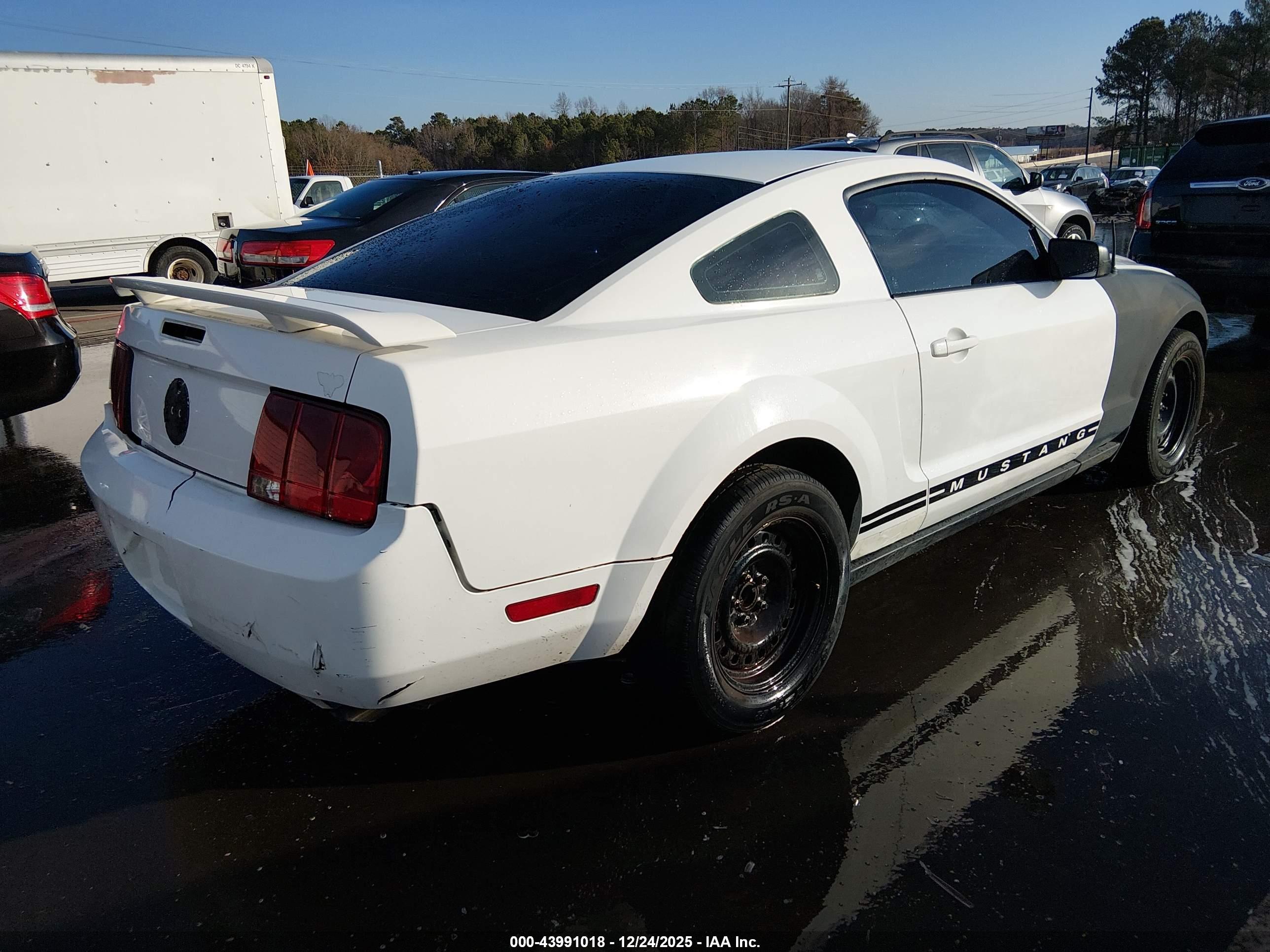 FORD MUSTANG image 4