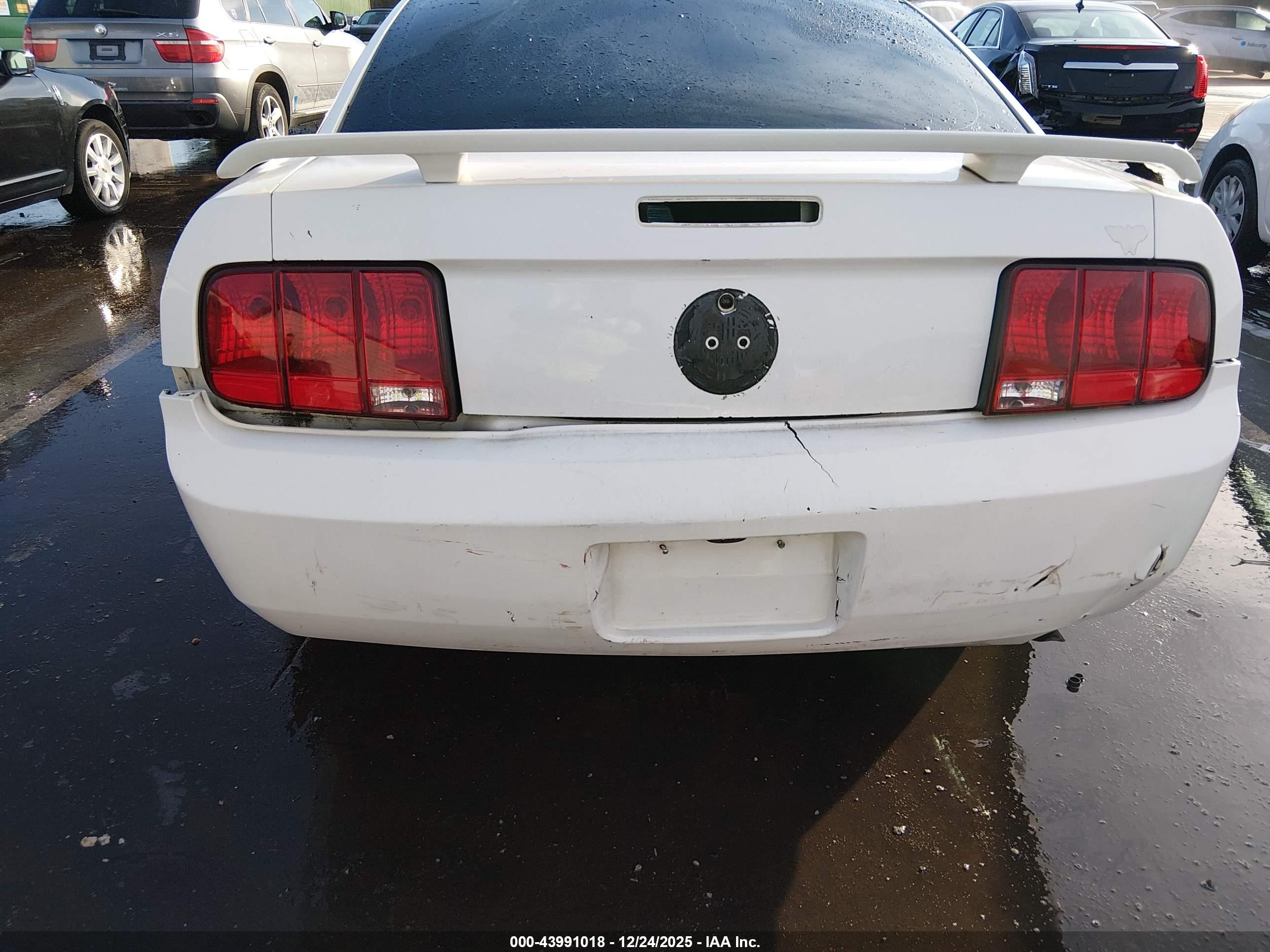 FORD MUSTANG image 6