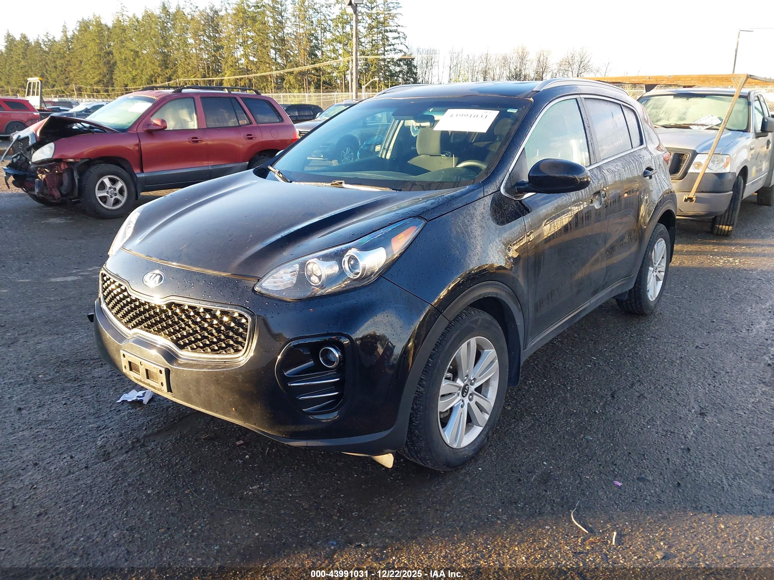 KIA SPORTAGE image 2