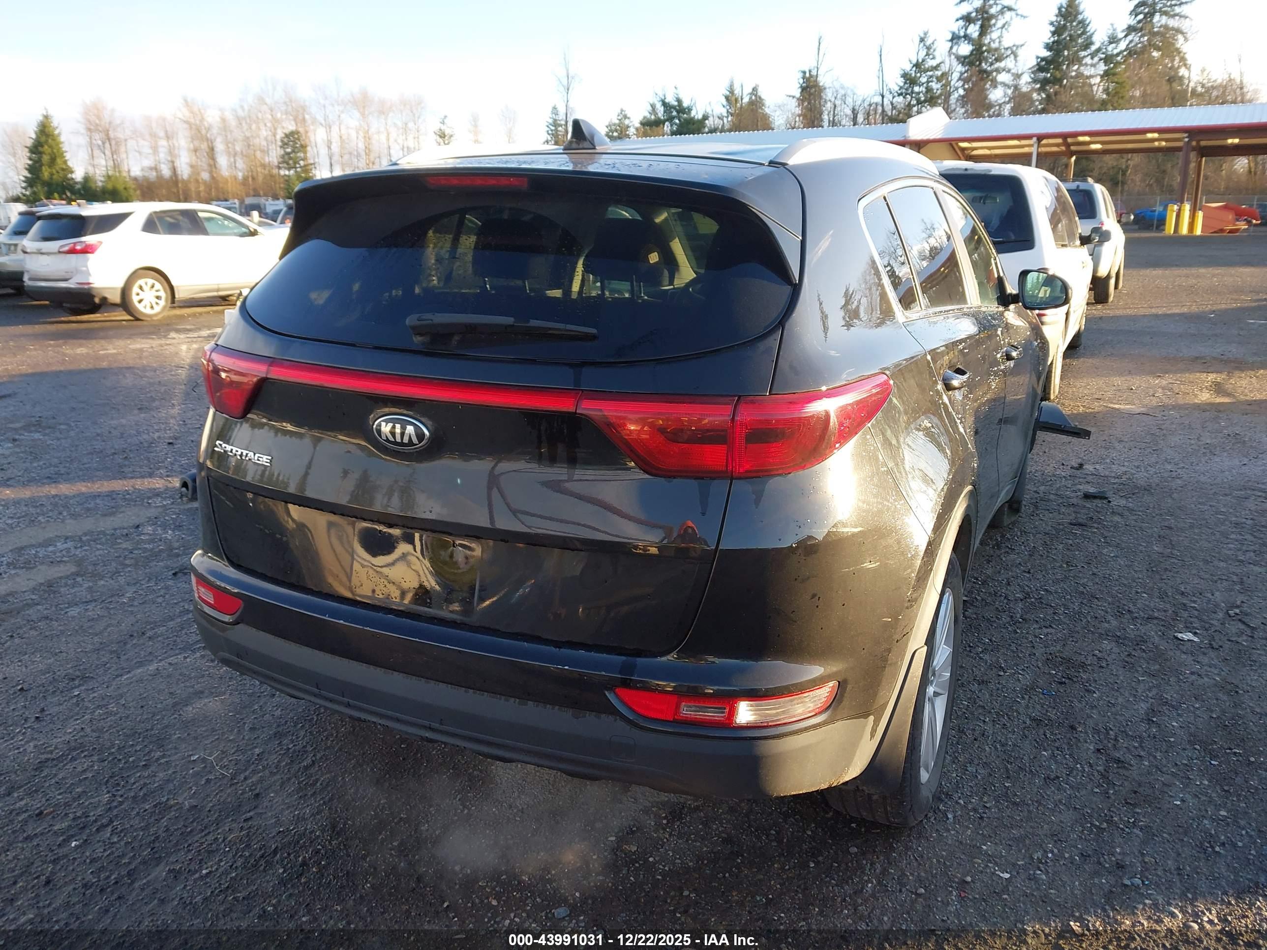 KIA SPORTAGE image 4