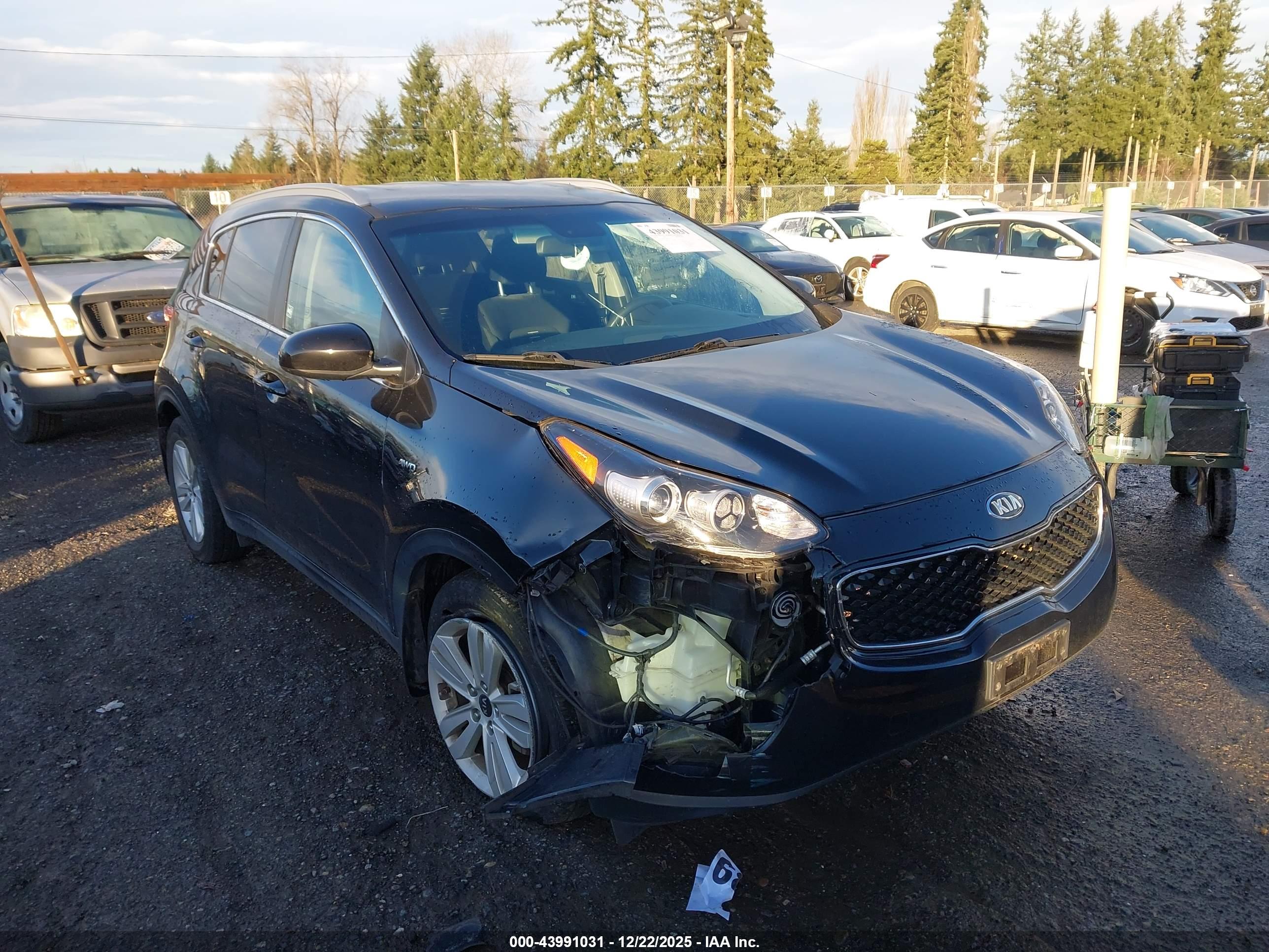 KIA SPORTAGE image 6