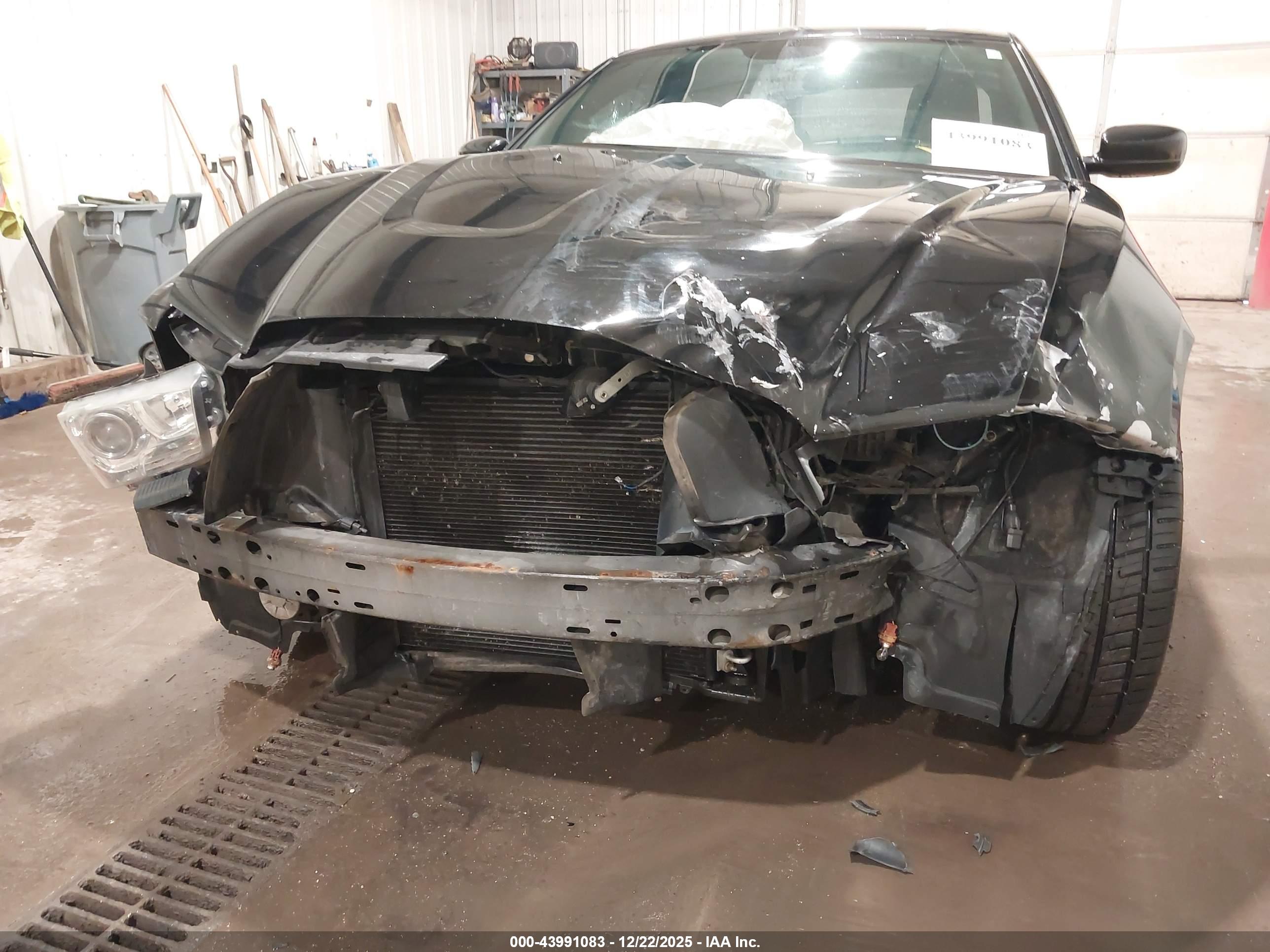 DODGE CHARGER image 6