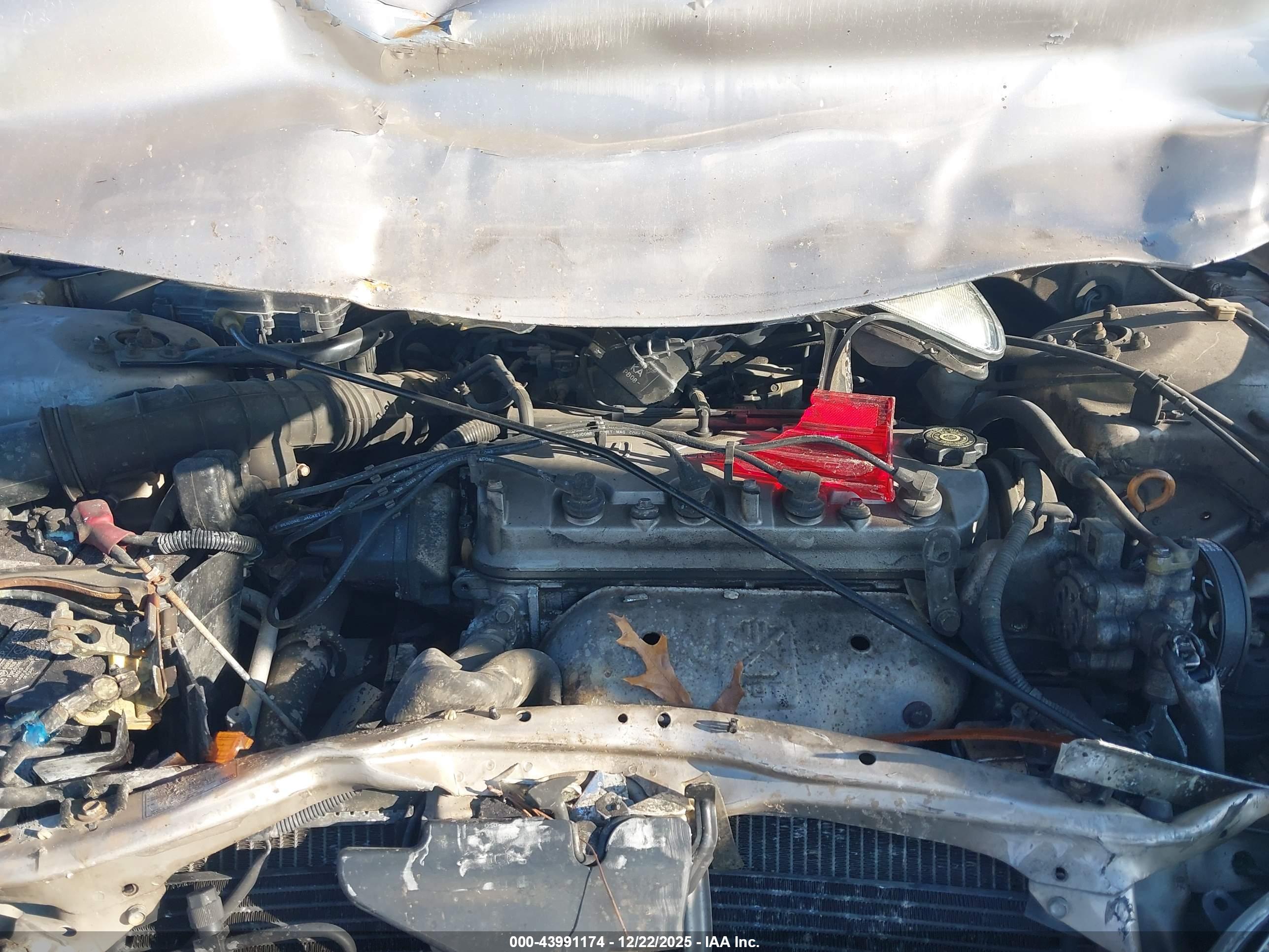HONDA ACCORD image 10