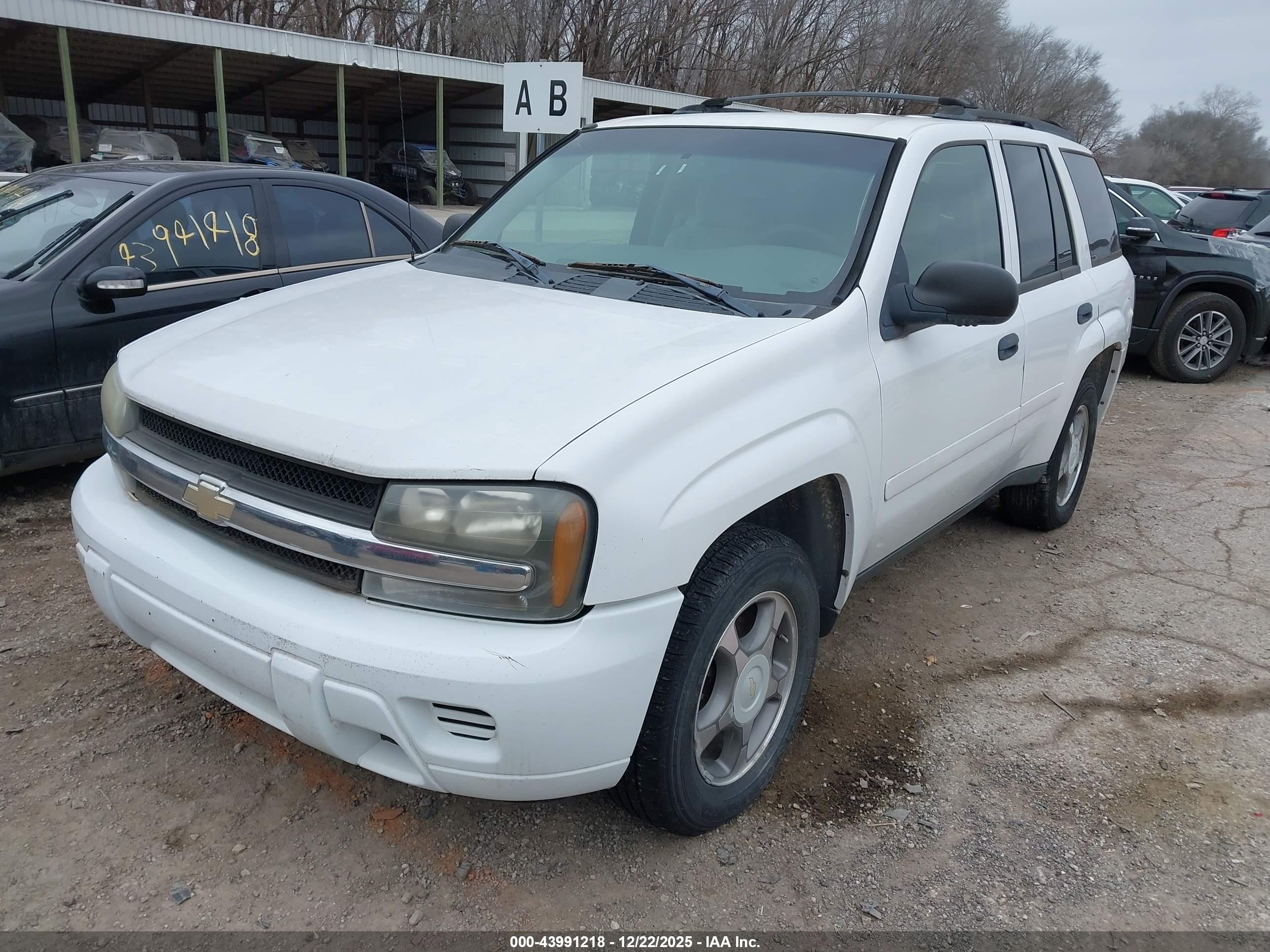 CHEVROLET TRAILBLAZER image 2
