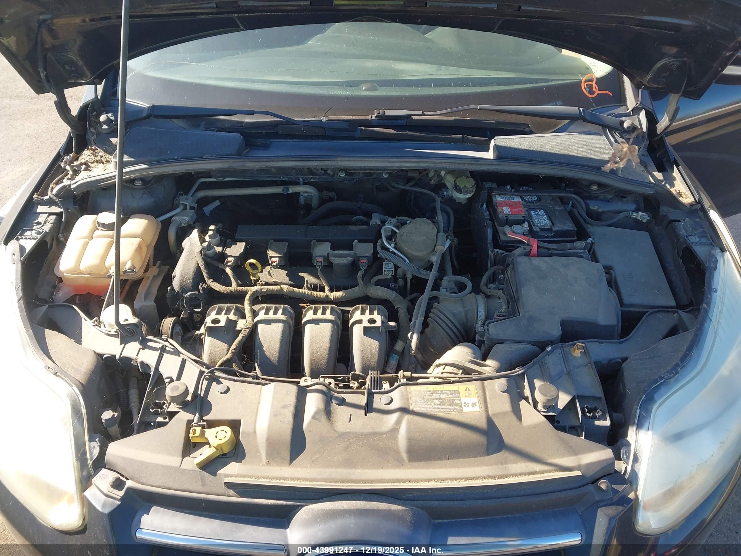FORD FOCUS image 10