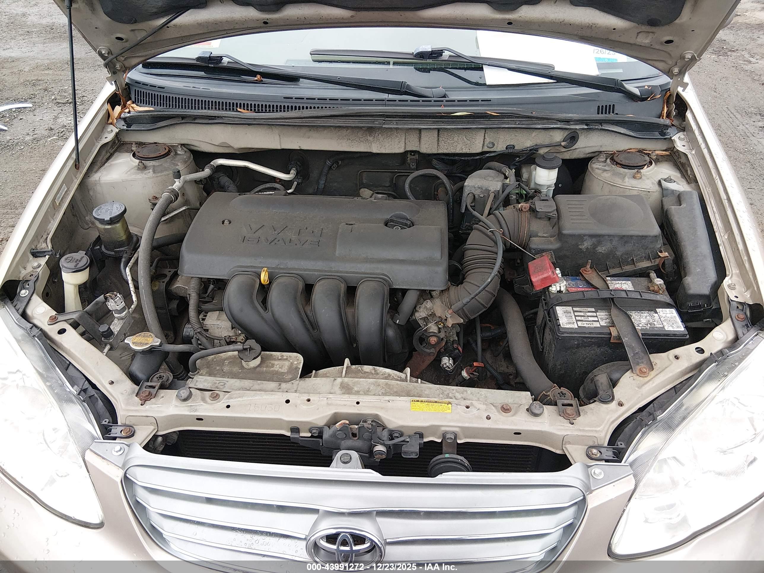 TOYOTA COROLLA image 10