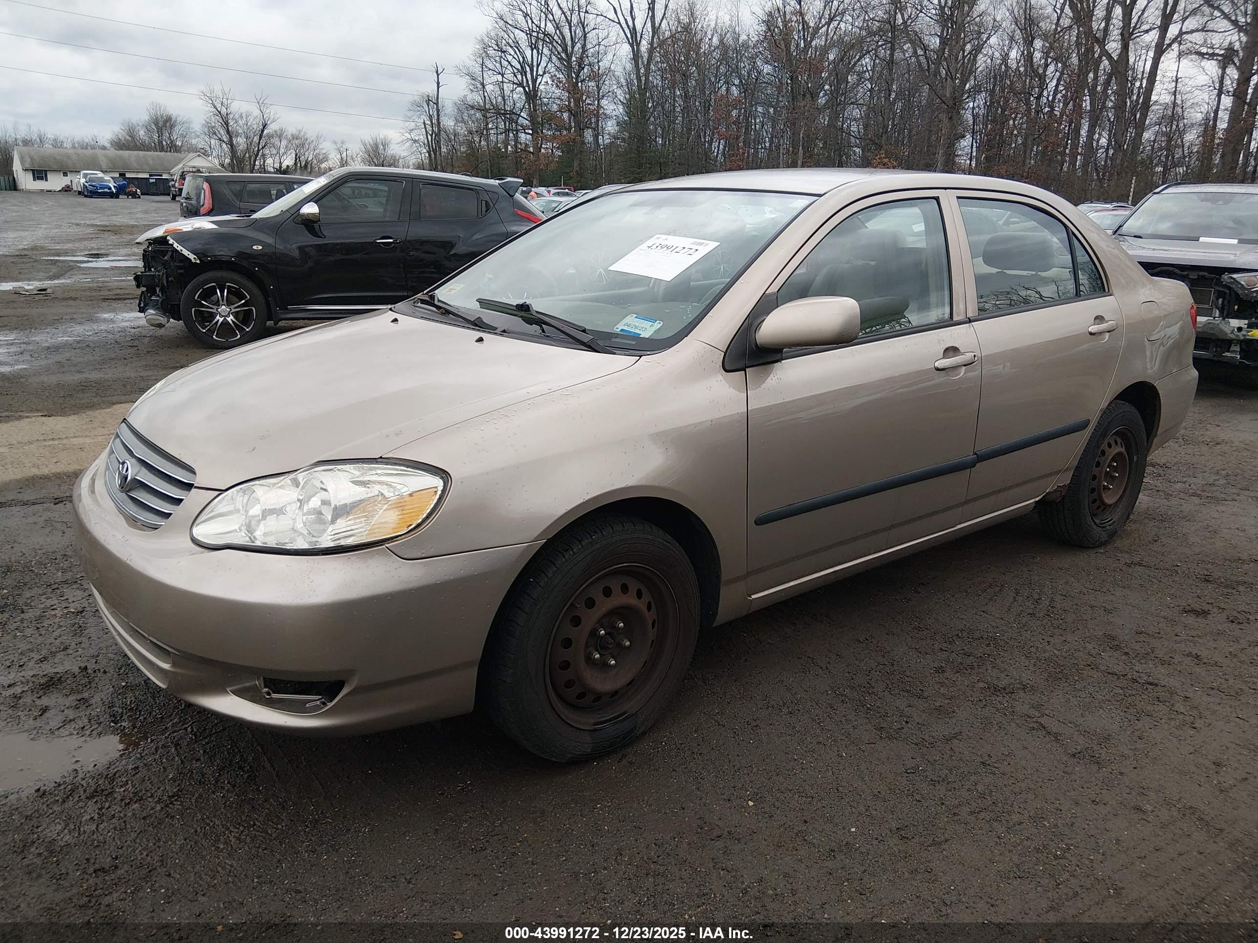 TOYOTA COROLLA image 2