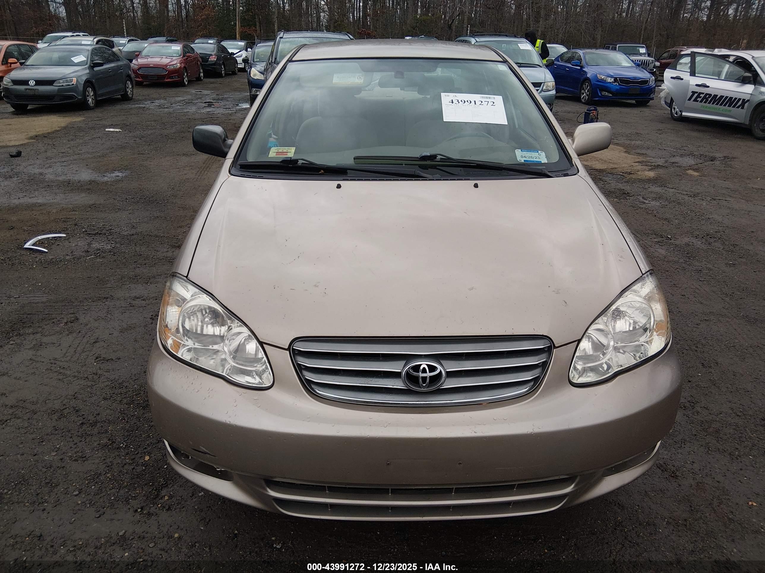TOYOTA COROLLA image 6