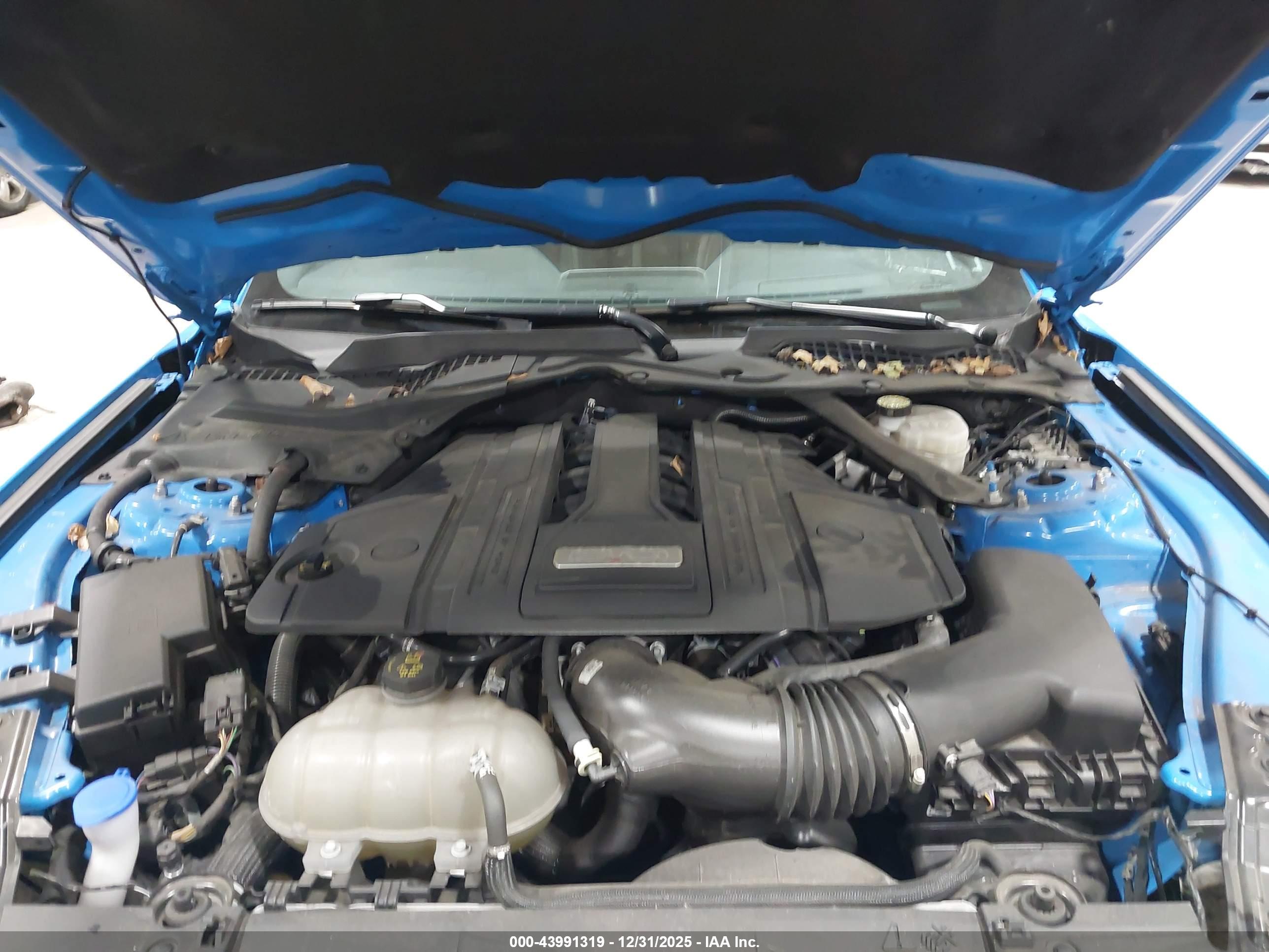 FORD MUSTANG image 10