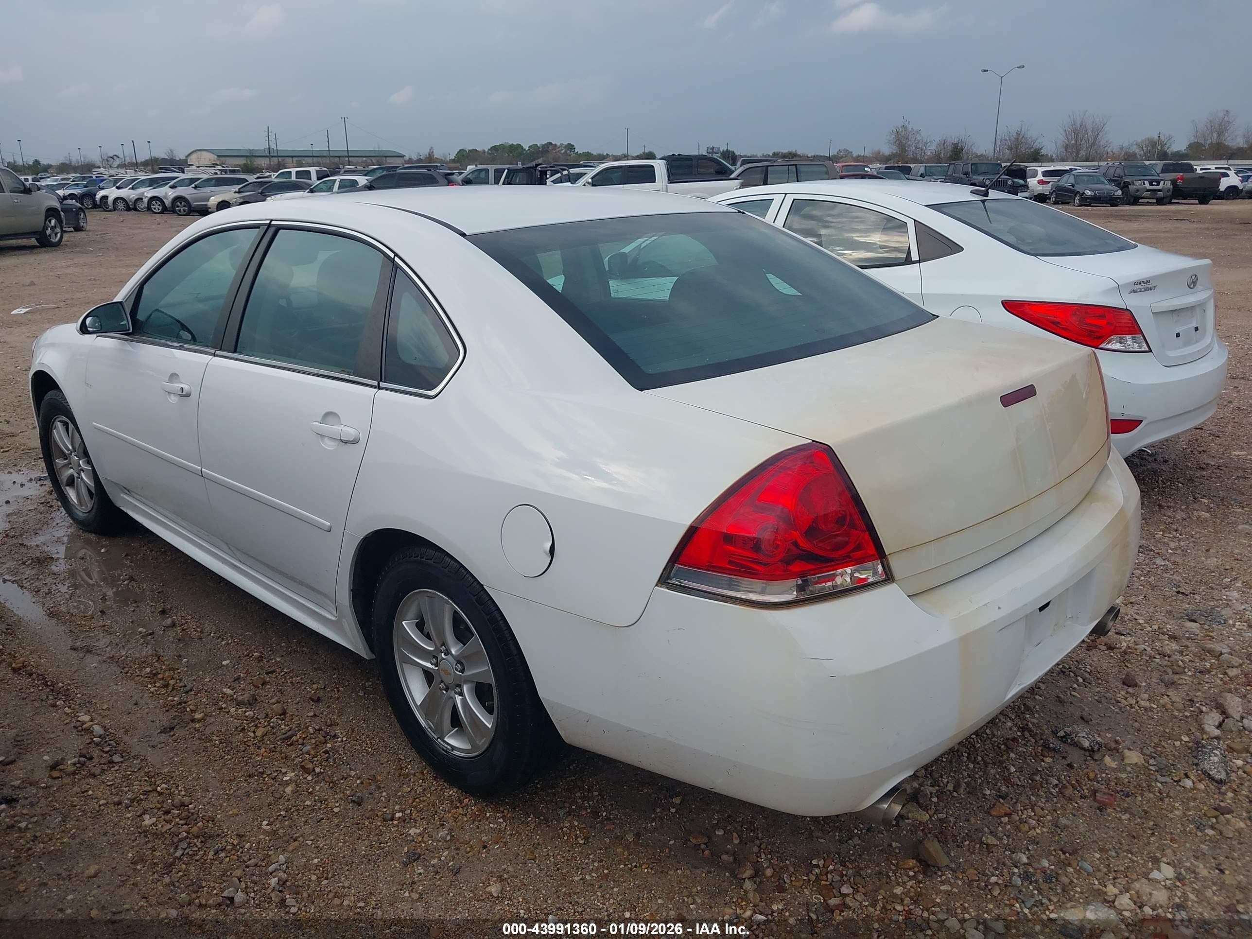 CHEVROLET IMPALA image 3