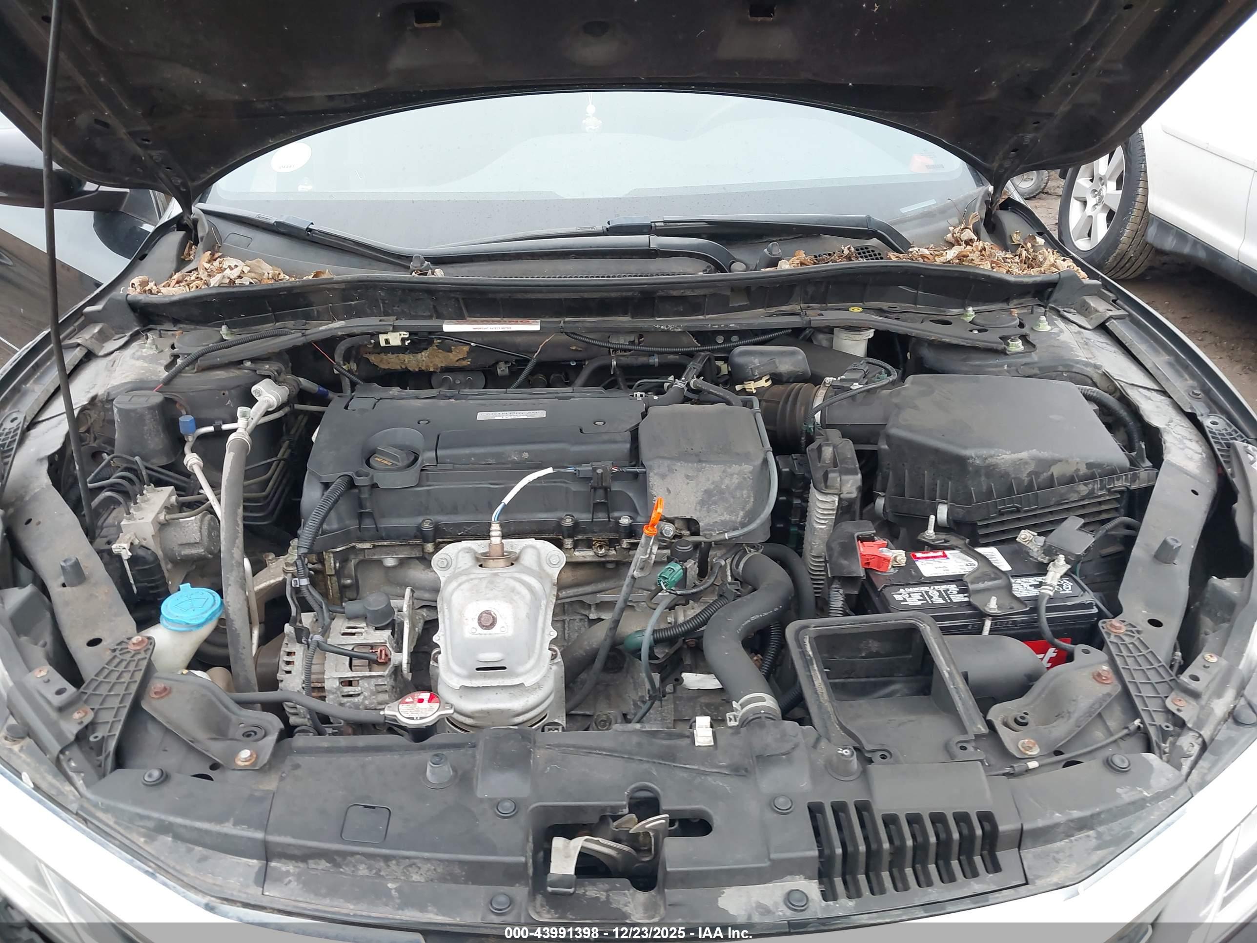 HONDA ACCORD image 10