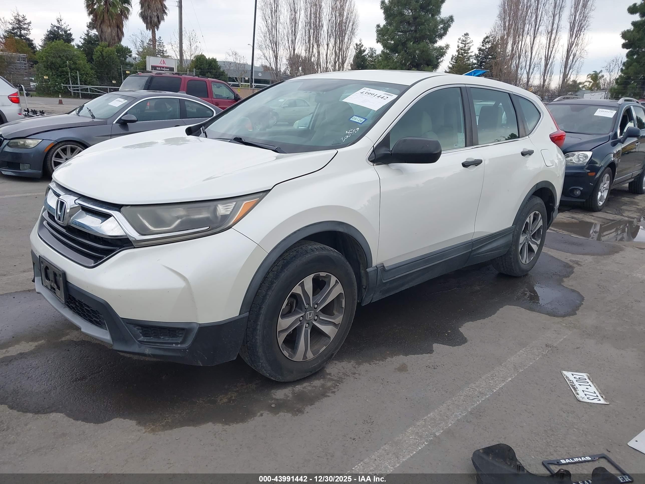 HONDA CR-V image 2