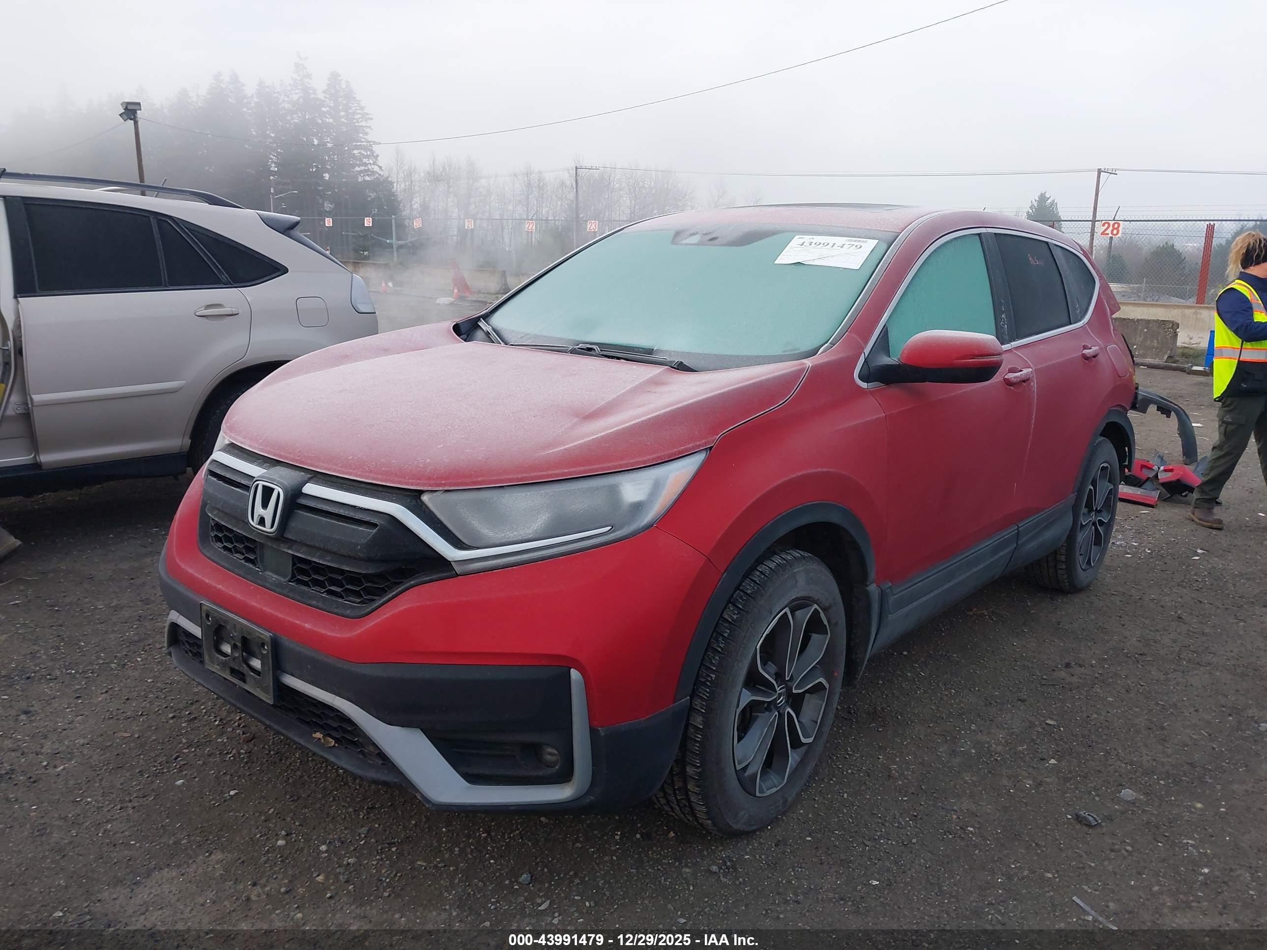 HONDA CR-V image 2