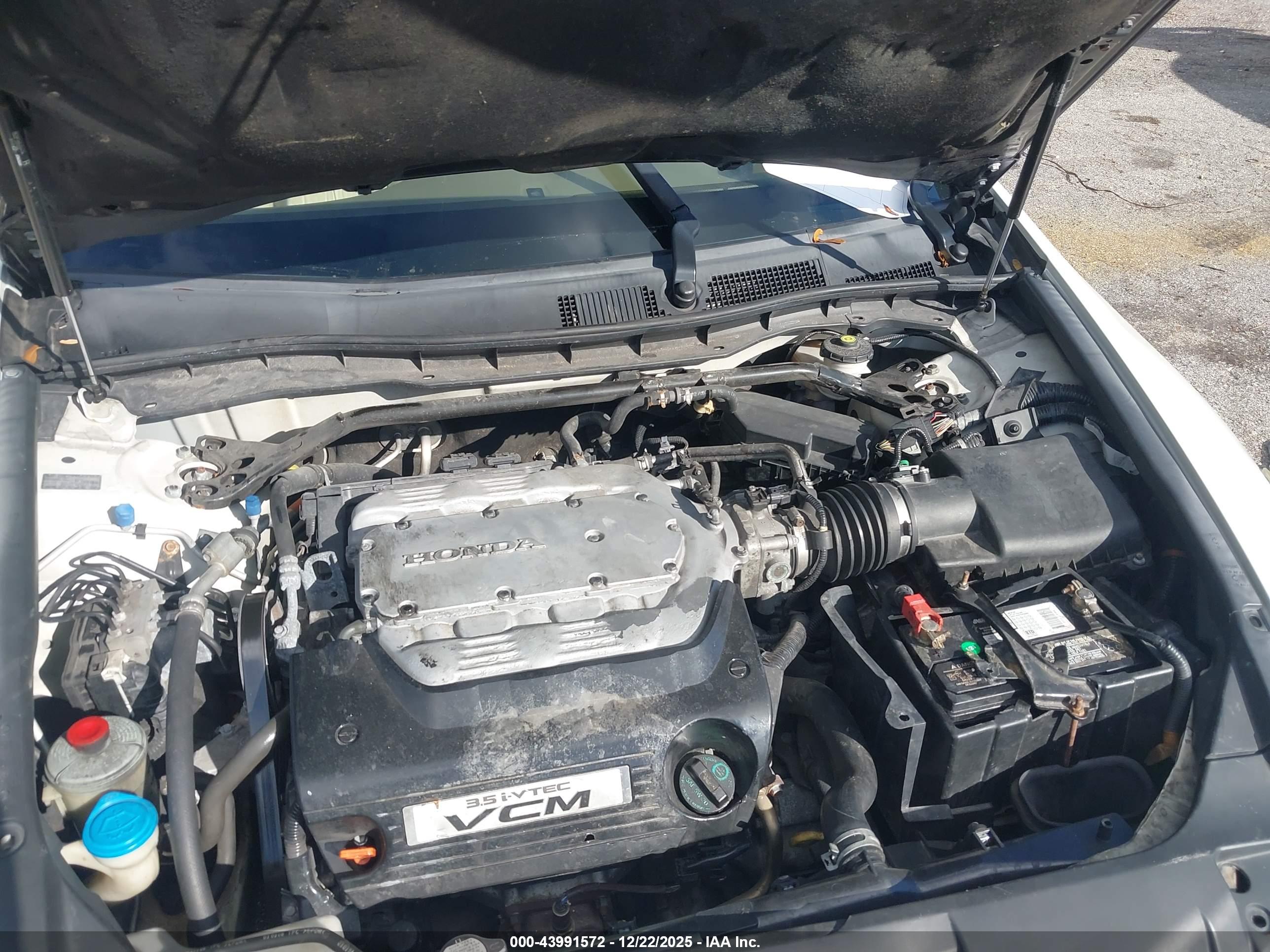 HONDA ACCORD image 10