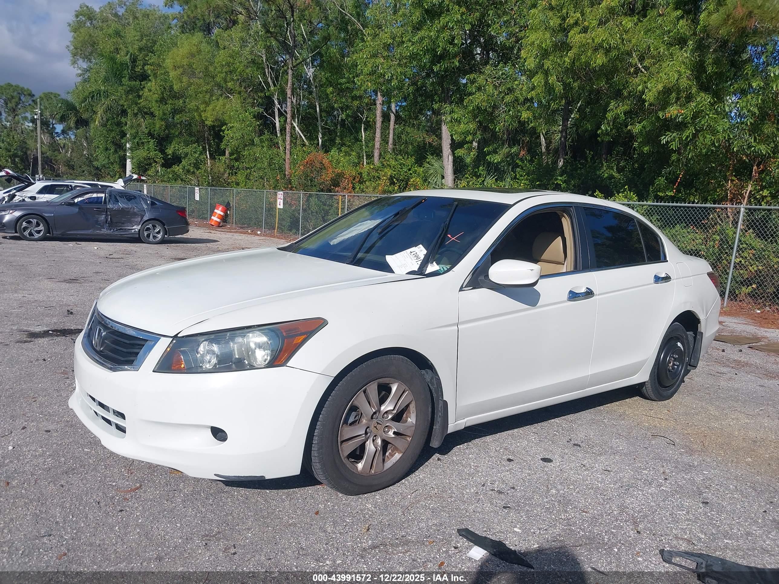 HONDA ACCORD image 2