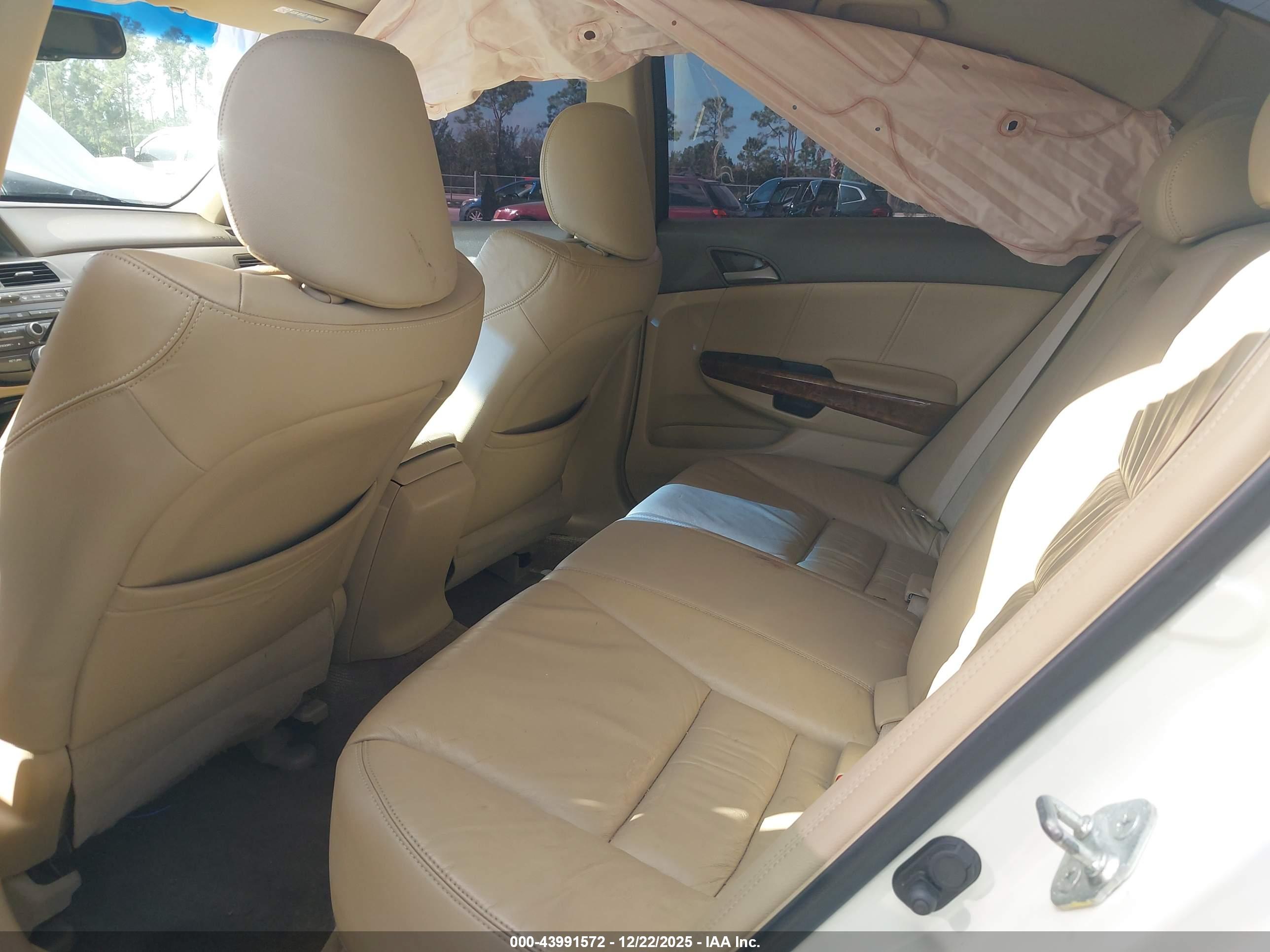 HONDA ACCORD image 8